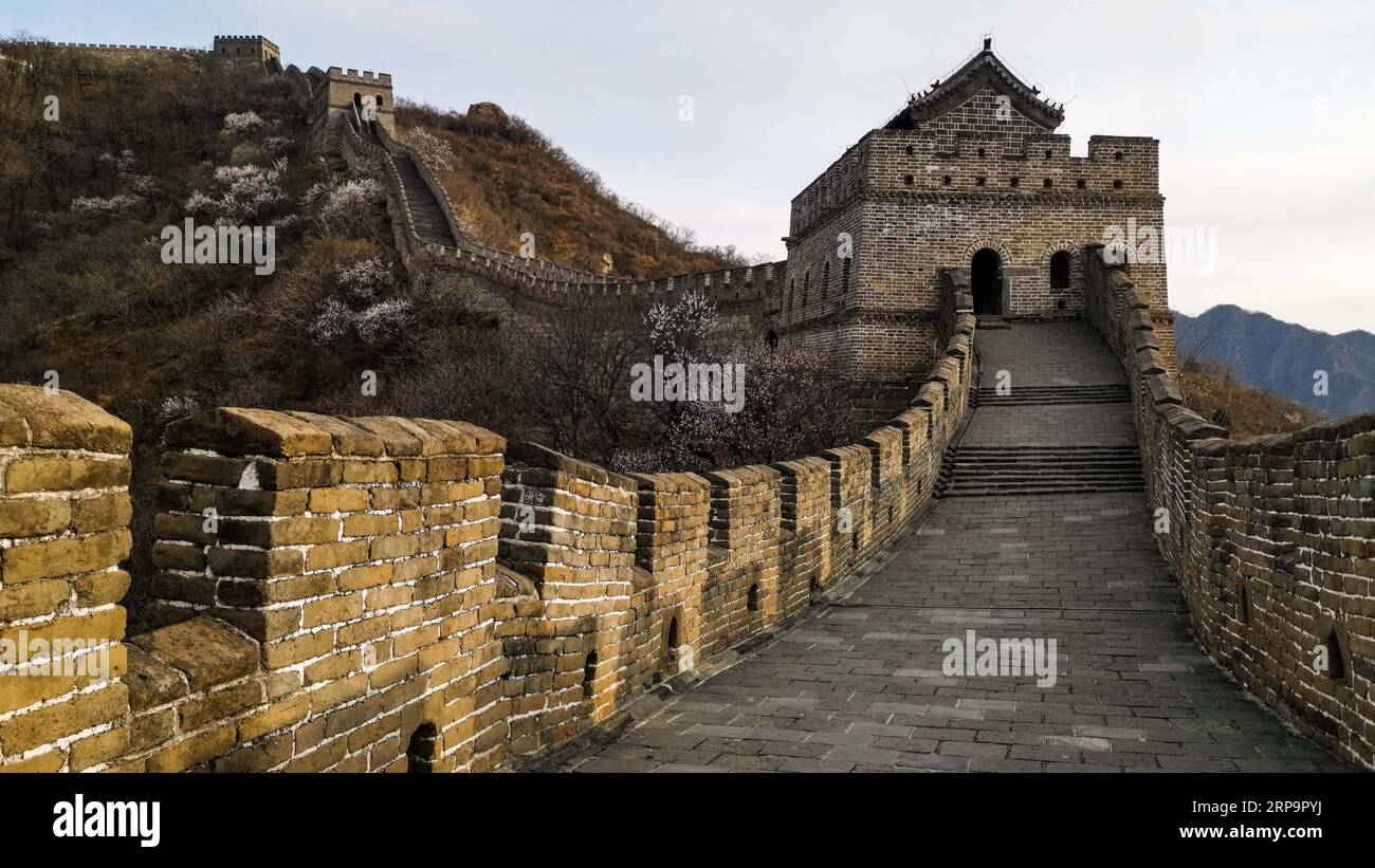 (190414) -- PEKING, 14. April 2019 -- Foto vom 11. April 2019 zeigt die Landschaft der Chinesischen Mauer von Mutianyu in Peking, der Hauptstadt Chinas. ) (BeijingCandid)CHINA-BEIJING-GREAT WALL-SPRING SCENERY (CN) WangxJianhua PUBLICATIONxNOTxINxCHN Stockfoto