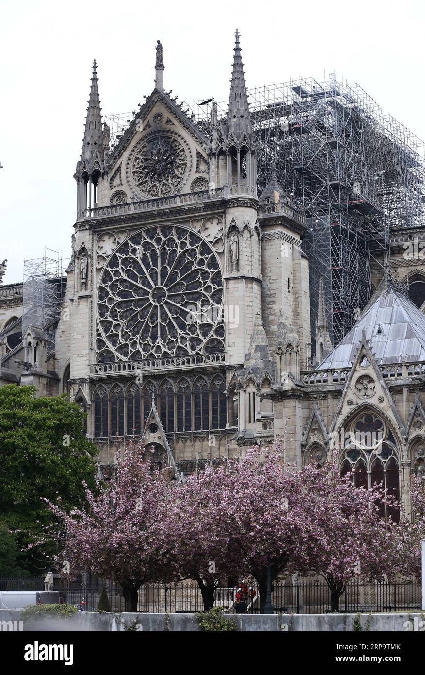 (190416) -- PARIS, 16. April 2019 (Xinhua) -- Foto vom 16. April 2019 zeigt die beschädigte Kathedrale Notre Dame nach einem Brand in Paris, Frankreich. Der französische Präsident Emmanuel Macron versprach am Dienstag, innerhalb von fünf Jahren die Kathedrale Notre Dame, die am Montagabend vom Feuer verwüstet wurde, wieder aufzubauen und forderte die Franzosen auf, vereint zu bleiben. Am frühen Montagabend brach in der berühmten Kathedrale ein Feuer aus. Online-Aufnahmen zeigten dicken Rauch, der von der Spitze der Kathedrale wehte, und riesige Flammen zwischen ihren beiden Glockentürmen, die den Turm und das gesamte Dach umschlossen, die beide später zusammenbrachen. (Xinhua/Gao Jing) FRAN Stockfoto