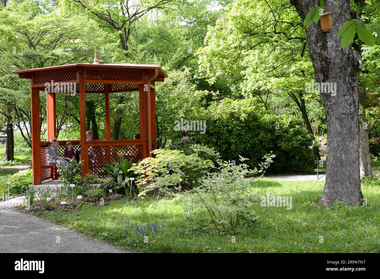 (190428) -- ZAGREB, 28. April 2019 (Xinhua) -- Menschen ruhen sich im Botanischen Garten in der Innenstadt von Zagreb, Hauptstadt Kroatiens, am 24. April 2019 aus. Der 1889 gegründete Botanische Garten in Zagreb mit einer Gesamtfläche von etwa fünf Hektar ist kostenlos für die Öffentlichkeit zugänglich und empfängt mehr als 100.000 Besuche pro Jahr. (Xinhua/Gao Lei) KROATIEN-ZAGREB-BOTANISCHER GARTEN PUBLICATIONxNOTxINxCHN Stockfoto