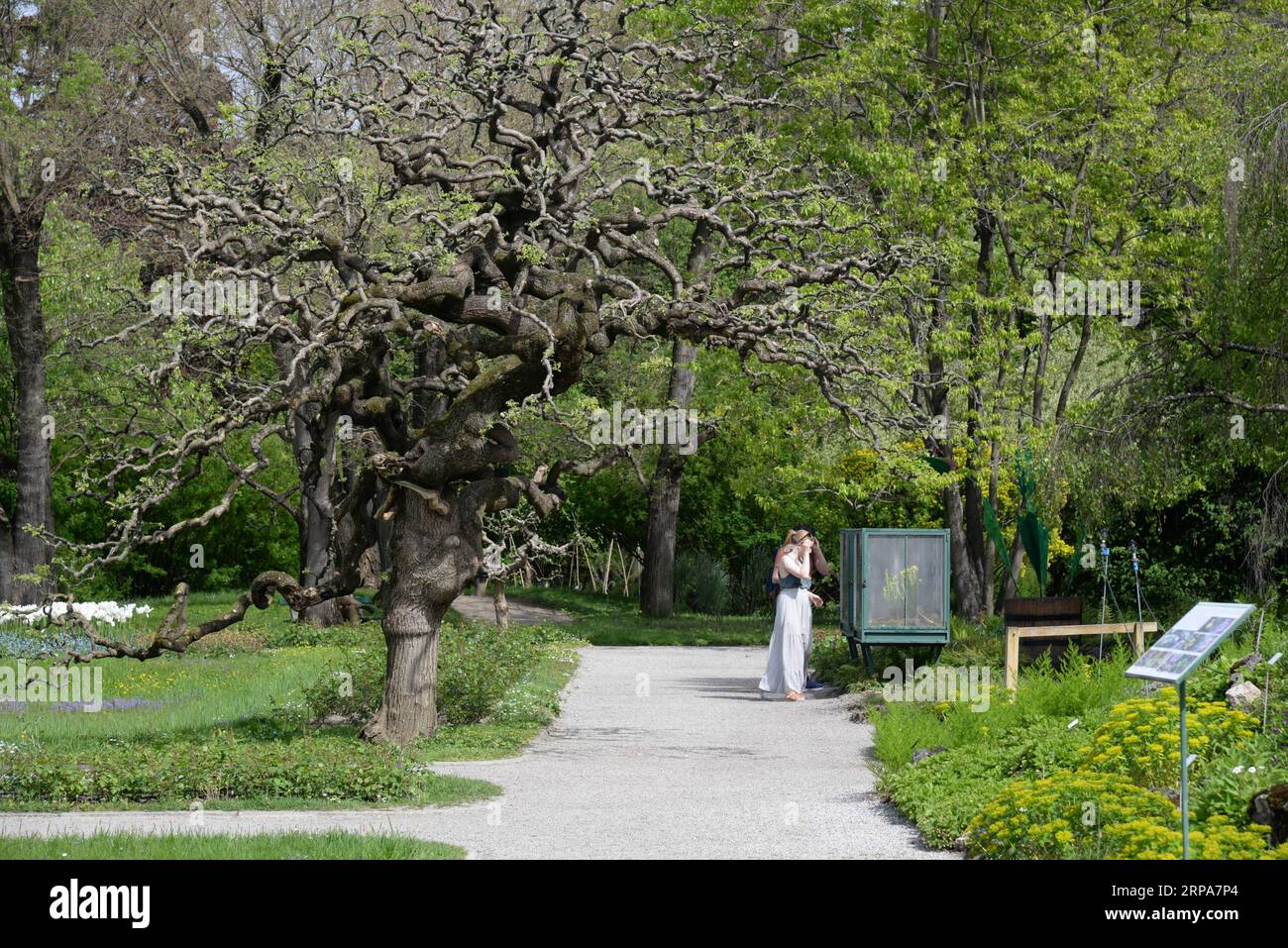 (190428) -- ZAGREB, 28. April 2019 (Xinhua) -- Menschen sehen Pflanzen im Botanischen Garten in der Innenstadt von Zagreb, Hauptstadt von Kroatien, 24. April 2019. Der 1889 gegründete Botanische Garten in Zagreb mit einer Gesamtfläche von etwa fünf Hektar ist kostenlos für die Öffentlichkeit zugänglich und empfängt mehr als 100.000 Besuche pro Jahr. (Xinhua/Gao Lei) KROATIEN-ZAGREB-BOTANISCHER GARTEN PUBLICATIONxNOTxINxCHN Stockfoto