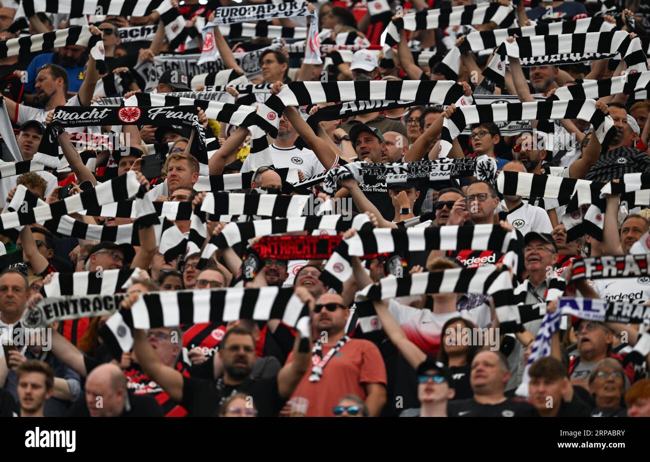 03. September 2023, Hessen, Frankfurt/Main: Fußball: Bundesliga, Eintracht Frankfurt - 1. FC Köln, Spieltag 3, im Deutschen Bank Park. Frankfurter Fans im Fanblock. Foto: Arne Dedert/dpa - WICHTIGER HINWEIS: Gemäß den Anforderungen der DFL Deutsche Fußball Liga und des DFB Deutscher Fußball-Bund ist es verboten, im Stadion und/oder im Spiel aufgenommene Fotos in Form von Sequenzbildern und/oder videoähnlichen Fotoserien zu verwenden oder zu verwenden. Stockfoto