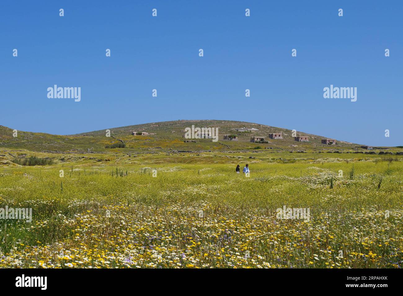 (190512) -- DELOS, 12. Mai 2019 (Xinhua) -- Foto vom 3. Mai 2019 zeigt die Landschaft von Delos, Griechenland. Delos, einst ein blühendes Handelszentrum inmitten der Ägäis in der Nähe von Mykonos, ist ein UNESCO-Weltkulturerbe mit einer Geschichte von 5.000 Jahren. Delos wird in der griechischen Mythologie als heiliger Geburtsort der Zwillinge Apollo, Gott des Lichts, und Artemis, der Göttin der Jagd, verehrt. (Xinhua/Li Xiaopeng) GRIECHENLAND-KULTUR-ARCHÄOLOGIE-DELOS PUBLICATIONxNOTxINxCHN Stockfoto