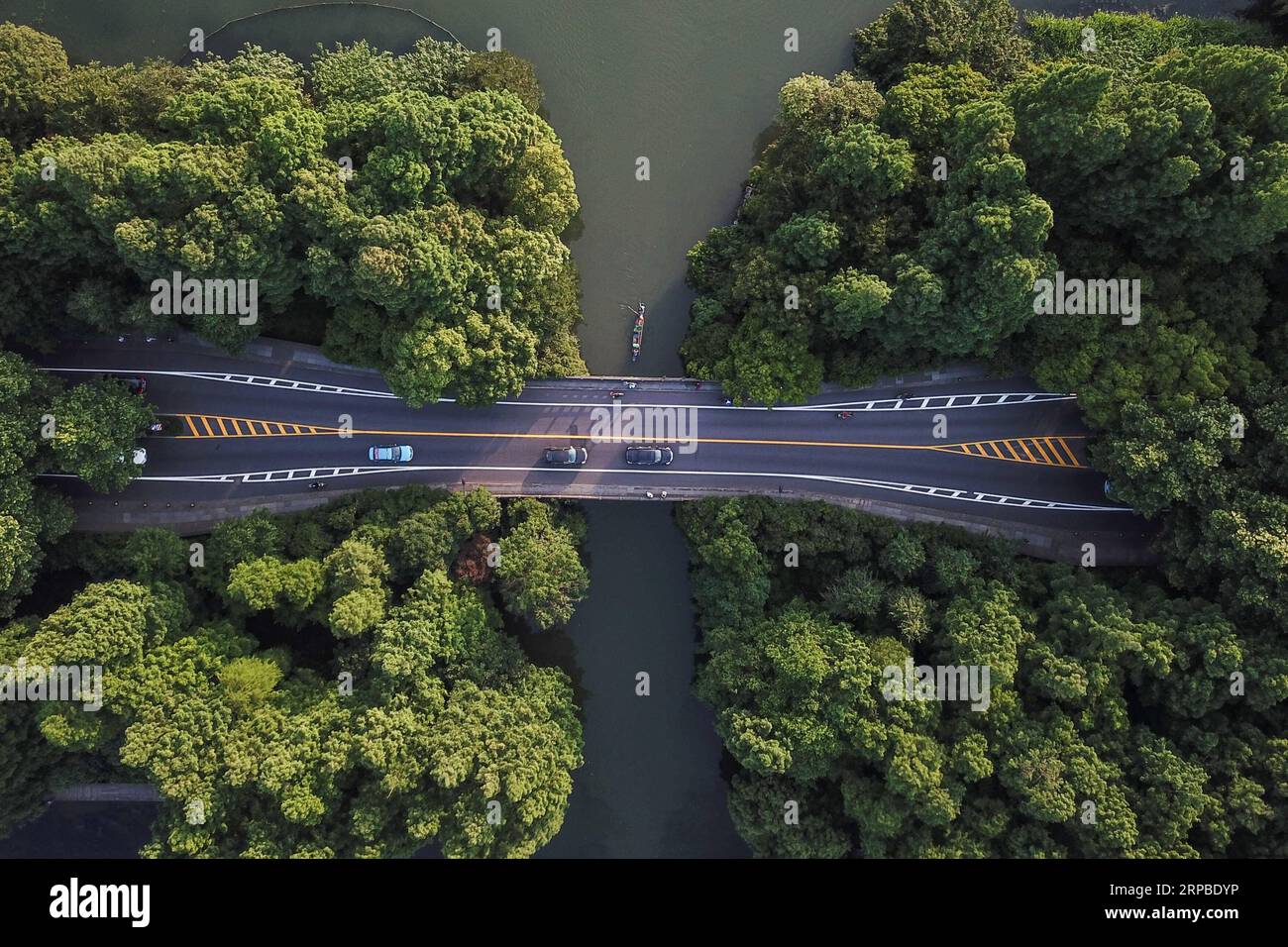 (190606) -- PEKING, 6. Juni 2019 (Xinhua) -- Luftaufnahme, aufgenommen am 24. Mai 2019, zeigt Fahrzeuge auf dem Yanggongdi-Damm im malerischen Gebiet des Westsees in Hangzhou, der Hauptstadt der Provinz Zhejiang. Die Provinz Zhejiang liegt an der Südostküste Chinas und bildet den Südflügel des Yangtsedeltas. Im Laufe der Jahre hat die Provinz große Erfolge bei der ökologischen Entwicklung erzielt. Nach Angaben der lokalen Umweltbehörden konnte Zhejiang 2018 eine kontinuierliche Verbesserung seiner natürlichen Umwelt verzeichnen, nicht zuletzt in Bezug auf die Wasserqualität und die Waldbedeckung. Durch die Verbesserung des Lebensstandards auf dem Land, die Einbeziehung von Stockfoto