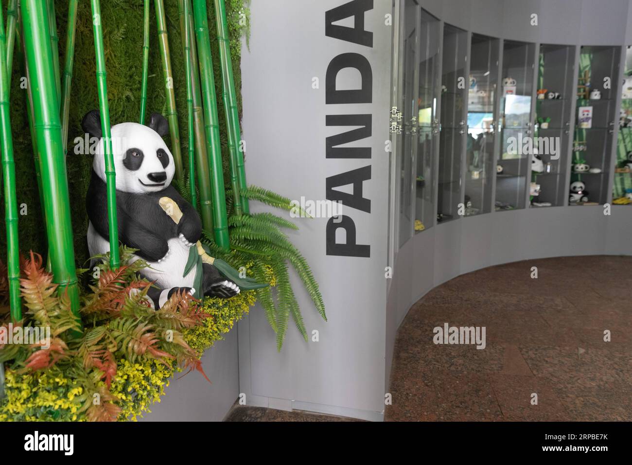 (190606) -- MOSKAU, 6. Juni 2019 (Xinhua) -- Foto aufgenommen am 4. Juni 2019 zeigt das Pandahaus im Moskauer Zoo in Moskau, Russland. Zwei riesige Pandas, der dreijährige Ru Yi und die zweijährige Ding Ding Ding, kamen Ende April aus Chinas südwestlicher Provinz Sichuan nach Moskau. Sie wurden am Mittwoch bei einer Eröffnungszeremonie für das Pandahaus im Moskauer Zoo für ein 15-jähriges gemeinsames Forschungsprogramm an Russland übergeben. (Xinhua/Bai Xueqi) RUSSLAND-MOSKAU-CHINA-PANDAS PUBLICATIONxNOTxINxCHN Stockfoto