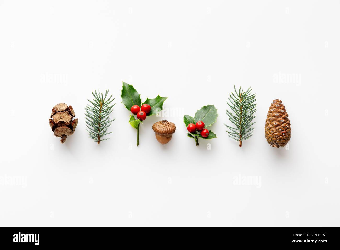 Sammlung dekorativer Weihnachtspflanzen. Acorn, Tannenzapfen und Beeren. Stockfoto