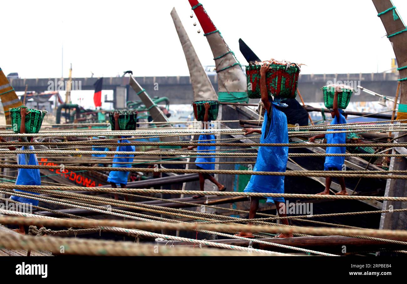 Chattogramm. September 2023. Menschen entladen Fisch auf einem Markt in Bangladeschs Hafenstadt Chattogram, 2. September 2023. Quelle: Xinhua/Alamy Live News Stockfoto