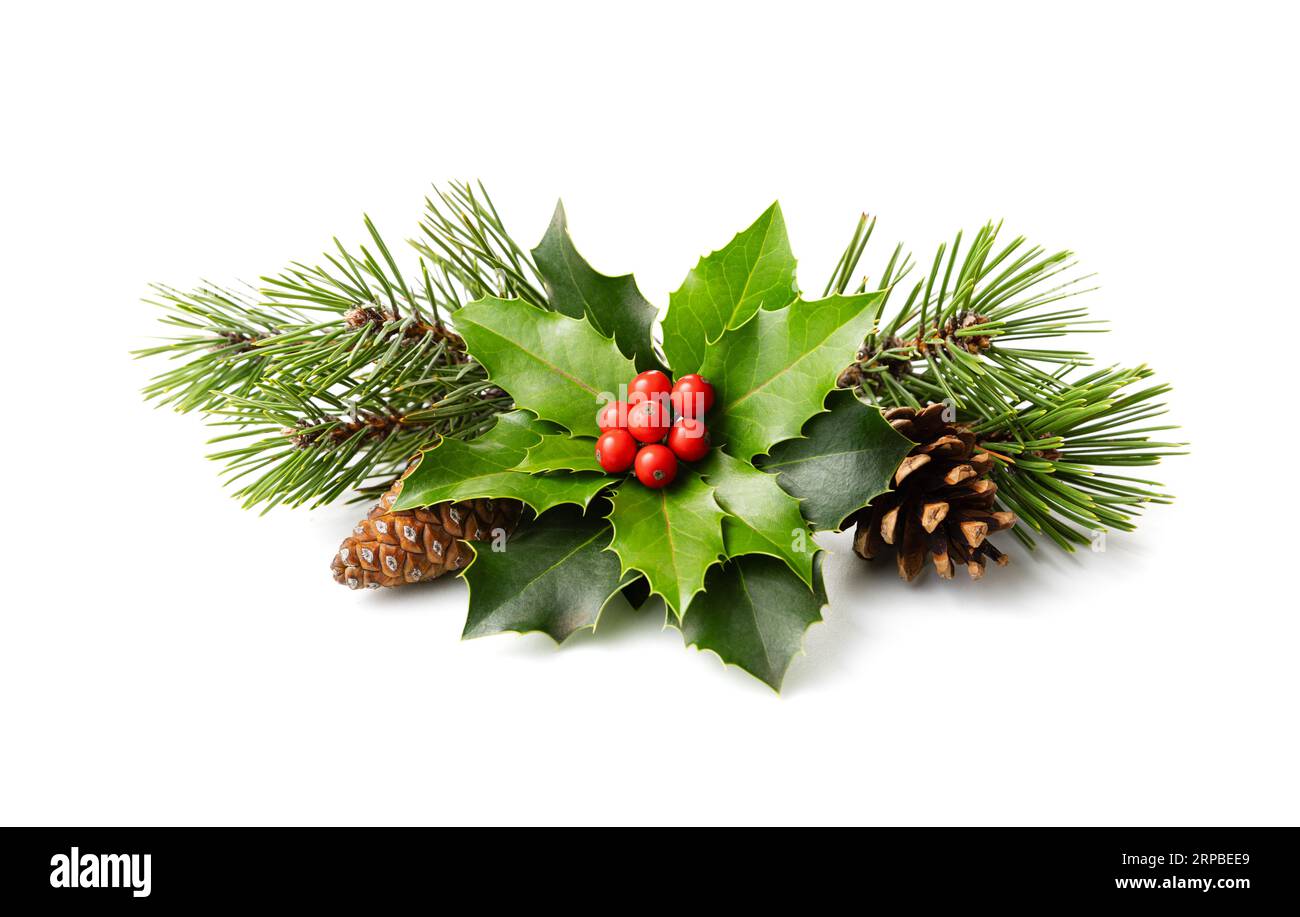Weihnachtsdekoration aus holly Beere und Kiefernkegel. Natürliche Winterdekoration Stockfoto