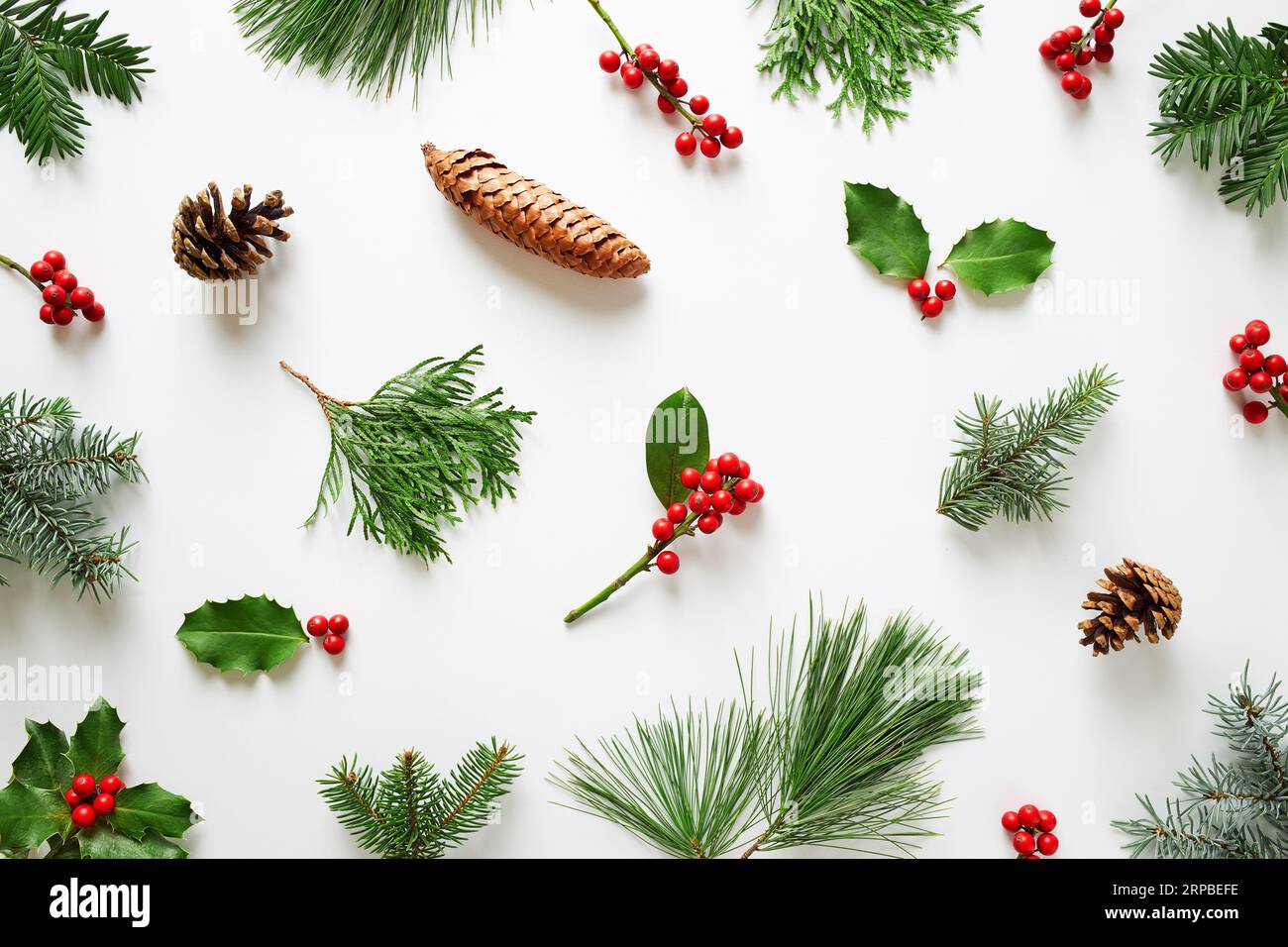 Sammlung dekorativer Weihnachtspflanzen mit grünen Blättern und stechpalmenbeeren. Natürliche Winterdekoration. Stockfoto