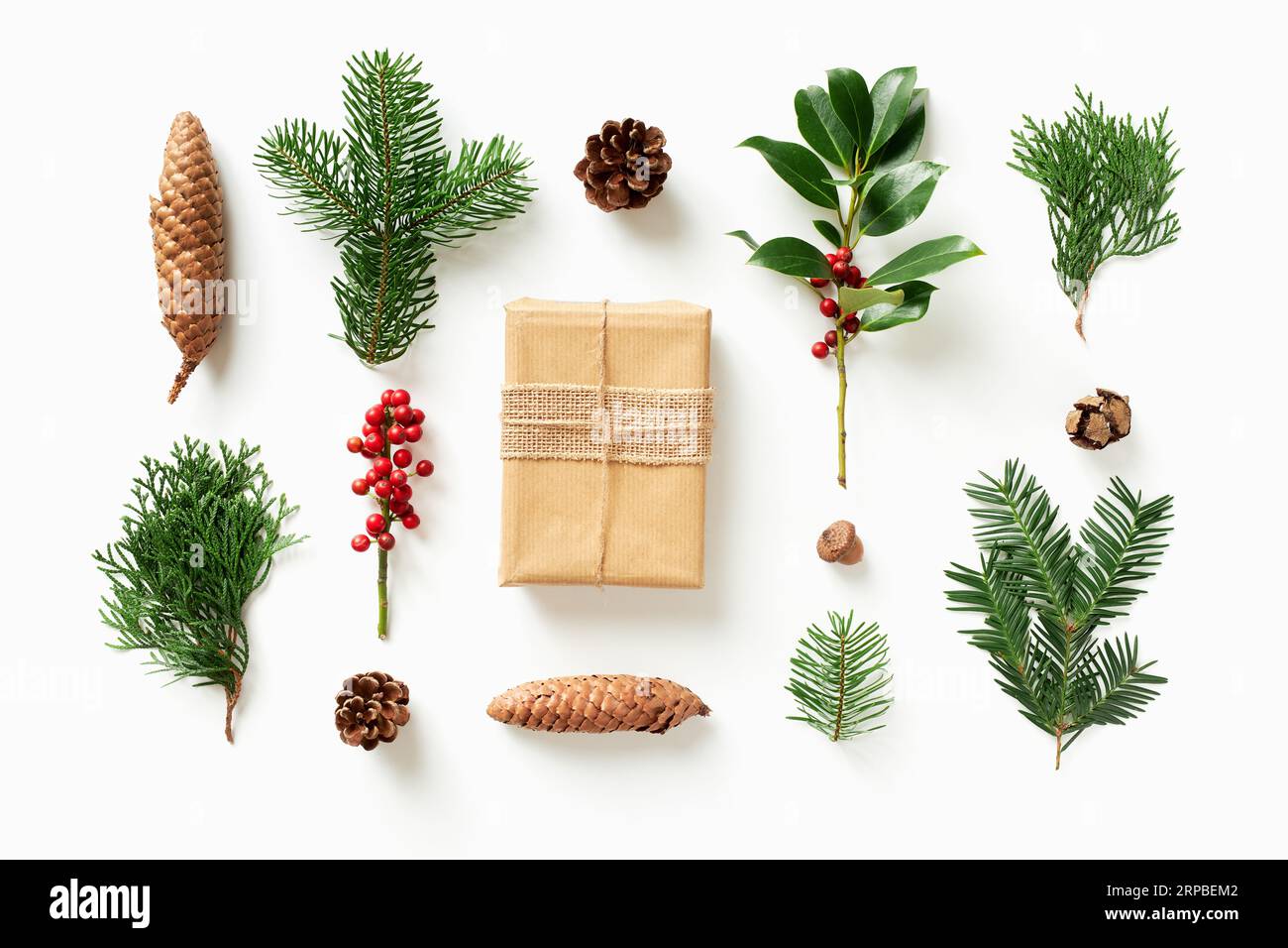 Geschenk mit verschiedenen Koniferen und Kegeln auf weißem Hintergrund. Flach liegend Weihnachtskomposition mit winterlicher Naturdekoration. Stockfoto