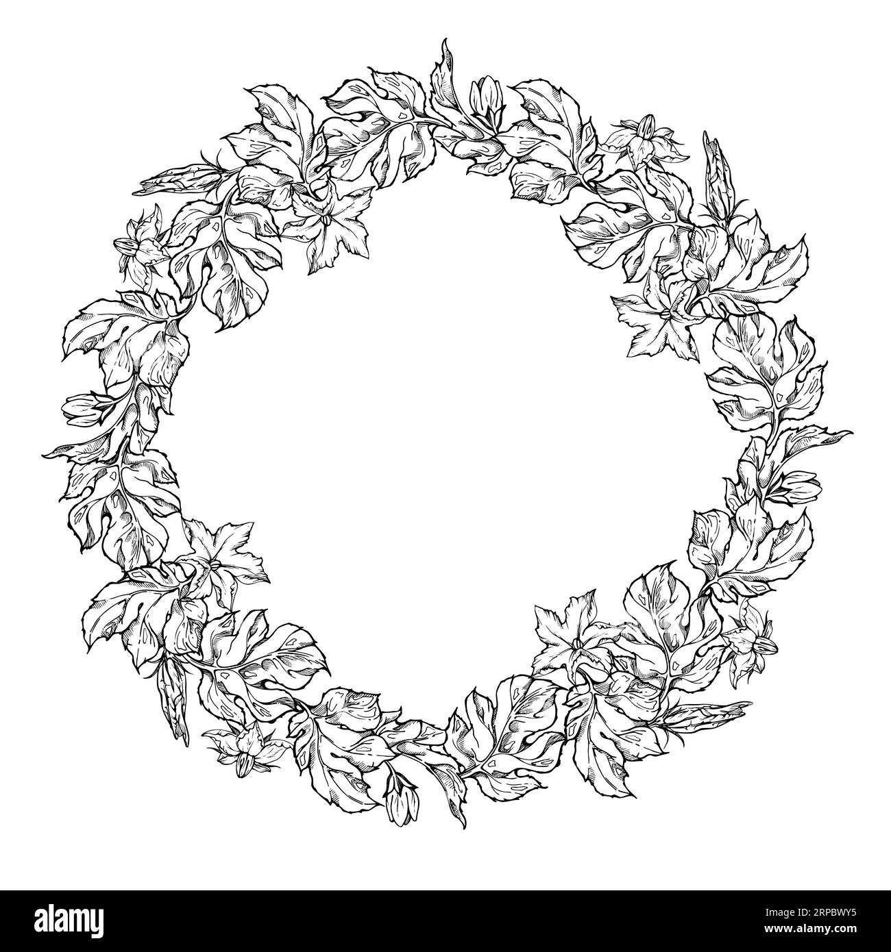 Von Hand gezeichneter Tintenvektor Kürbisblatt, Rebe, Blume. Sketch Illustration Kunst Thanksgiving, Halloween, Ernte, Landwirtschaft. Isolierter Kranzrahmen. Für Stock Vektor