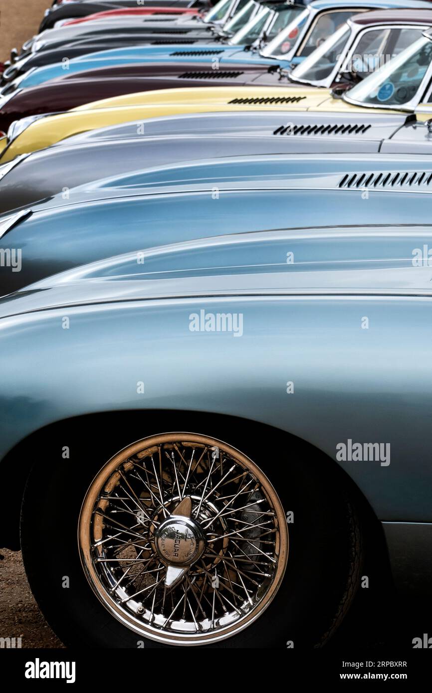 E Type Jaguar beim Concours of Elegance im Hampton Court Palace London, Großbritannien 2023 Stockfoto