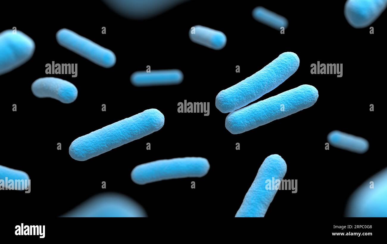 Bakterien. Isoliert. Prokaryotische Mikroorganismen. Blaue und schwarze Farbe. 3D-Abbildung. Stockfoto