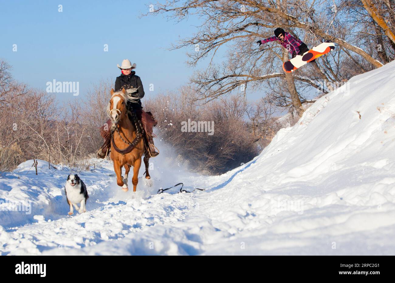 Pferdeschleife Snowboarder Stockfoto