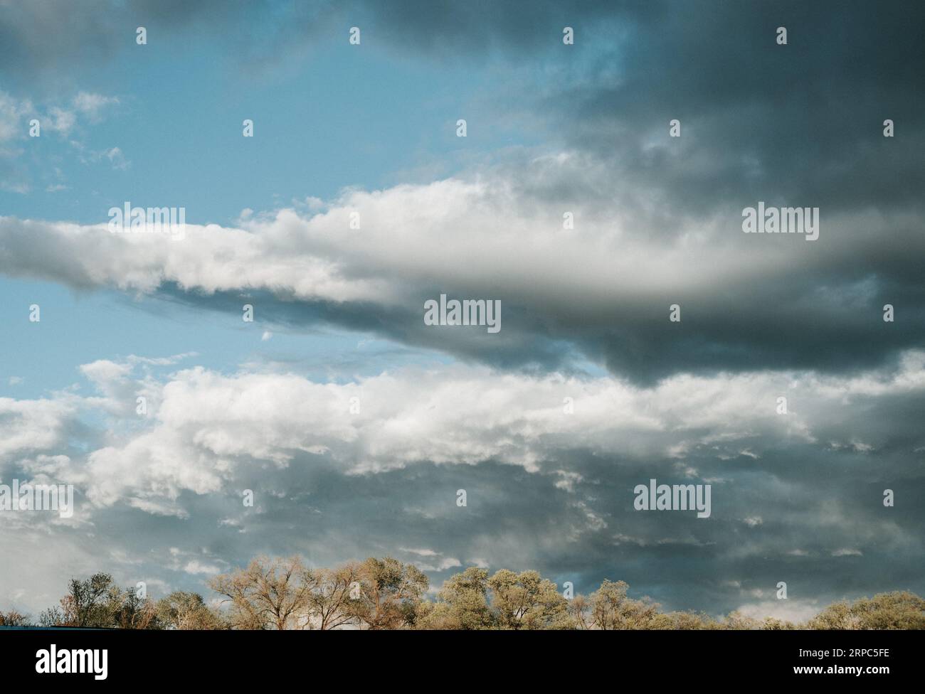 Dramatische Wolken bei Sonnenuntergang über Baumkronen in New Mexico Stockfoto