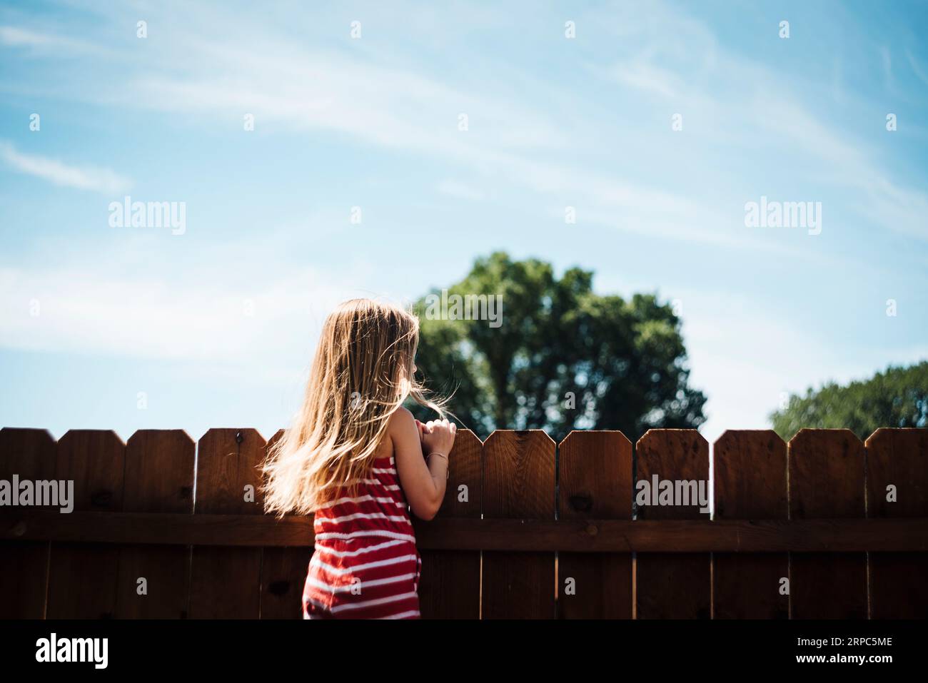 Das Mädchen schaut an einem sonnigen Sommertag über den Zaun im Hinterhof Stockfoto