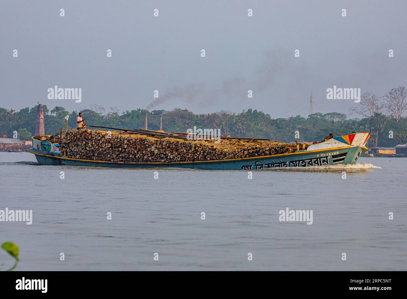 Frachtschiff mit Holzstämmen beladen auf dem Sondha River in Banaripara in Barisal, Bangladesch. Stockfoto