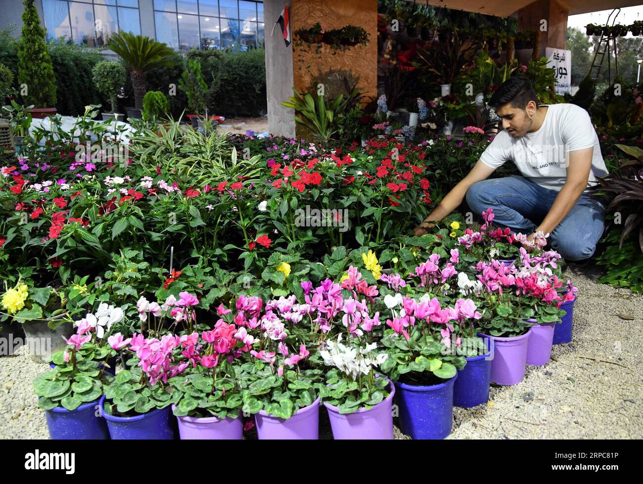 (190626) -- DAMASKUS, 26. Juni 2019 -- verschiedene Arten von Blumen sind auf der Internationalen Blumenmesse 2019 im Tishreen Park in Damaskus, Syrien, am 26. Juni 2019 zu sehen. Die Messe wurde am Mittwoch eröffnet und dauert bis zum 10. Juli. ) SYRIEN-DAMASKUS-BLUMEN-FAIR AmmarxSafarjalani PUBLICATIONxNOTxINxCHN Stockfoto