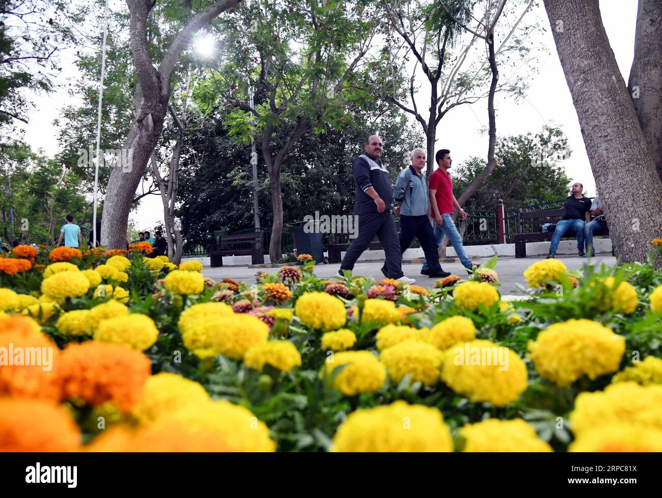 (190626) -- DAMASKUS, 26. Juni 2019 -- Menschen besuchen die Internationale Blumenmesse 2019 im Tishreen Park in Damaskus, Syrien, am 26. Juni 2019. Die Messe wurde am Mittwoch eröffnet und dauert bis zum 10. Juli. ) SYRIEN-DAMASKUS-BLUMEN-FAIR AmmarxSafarjalani PUBLICATIONxNOTxINxCHN Stockfoto