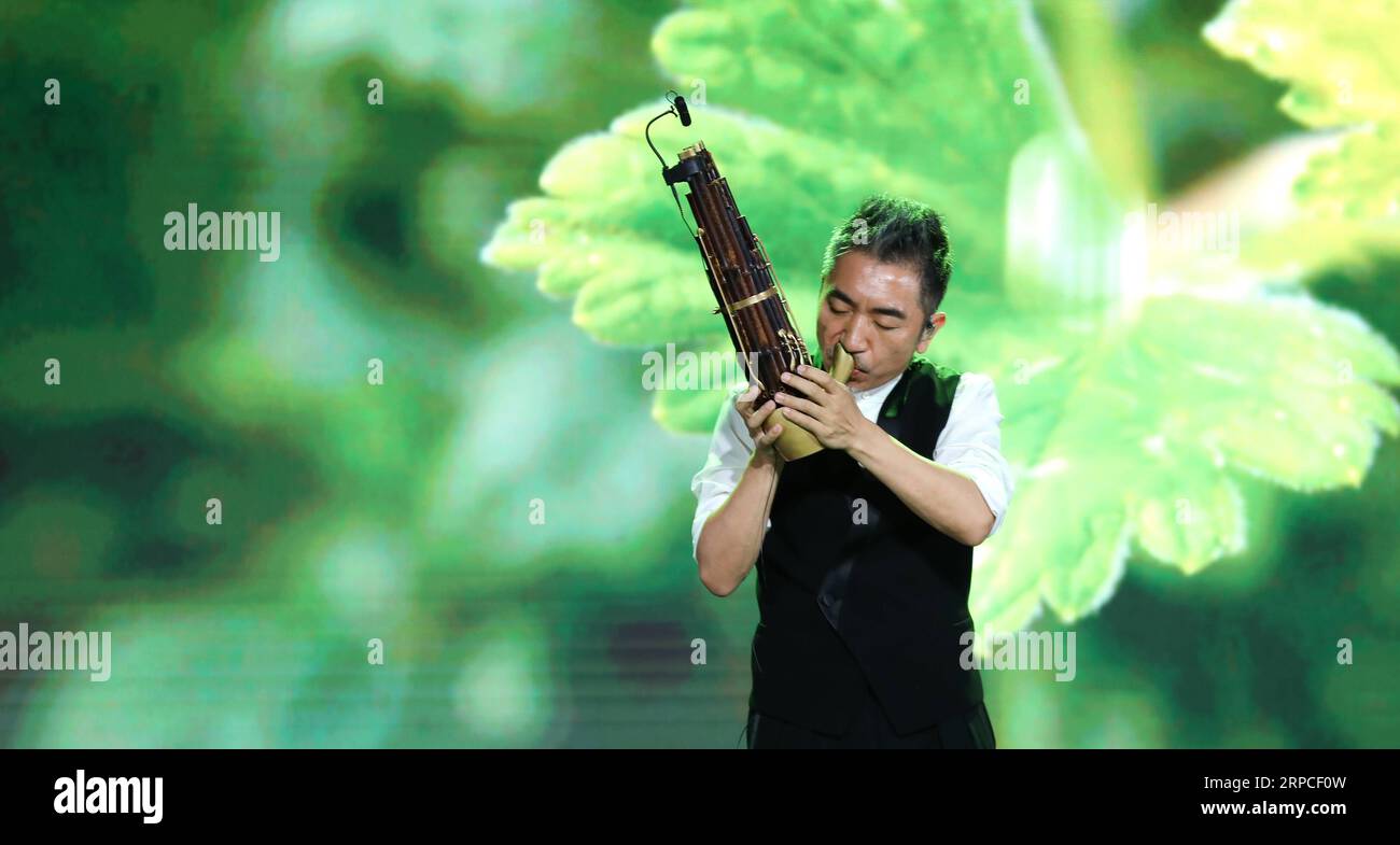 (190703) -- DALIAN, 3. Juli 2019 -- der Künstler Wu Tong gibt eine Abschlussvorstellung auf der Jahrestagung der New Champions 2019 oder Summer Davos in Dalian, Provinz Liaoning im Nordosten Chinas, 3. Juli 2019. Der diesjährige Sommer in Davos hat hier am Mittwoch geschlossen. Wang Qingqin) CHINA-DALIAN-SUMMER DAVOS-CLOSING (CN) YaoxJianfeng PUBLICATIONxNOTxINxCHN Stockfoto