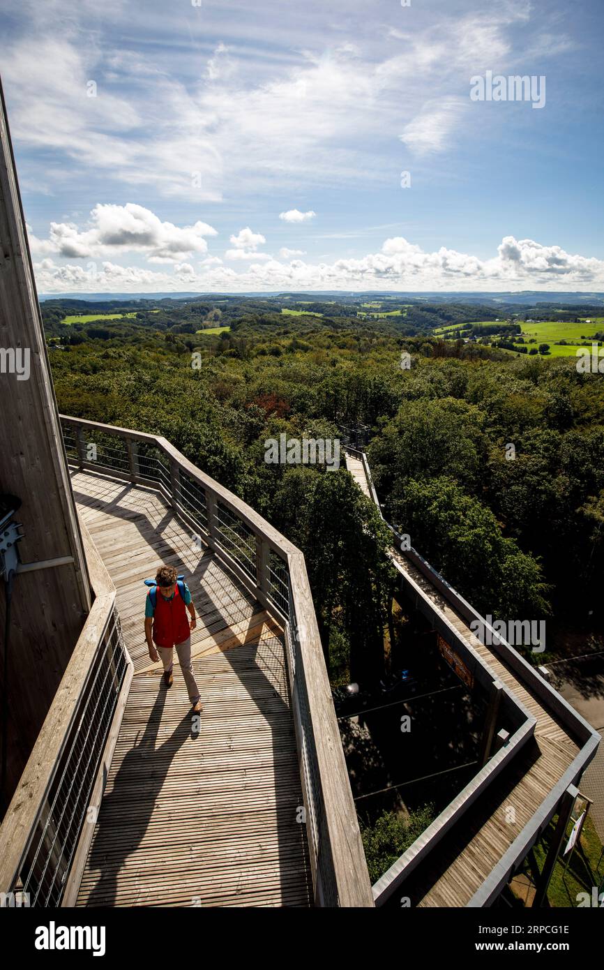 Besucher auf dem 40 Meter hohen Aussichtsturm, Teil der Baumwipfelwanderung im Naturerlebnispark Panarbora in Waldbroel, Bergisches Land, Nord Stockfoto
