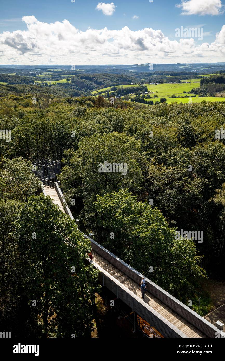 Besucher auf dem Baumwipfelpfad im Naturerlebnispark Panarbora in Waldbroel, Bergisches Land, Nordrhein-Westfalen, Deutschland. Besucher auf dem Stockfoto