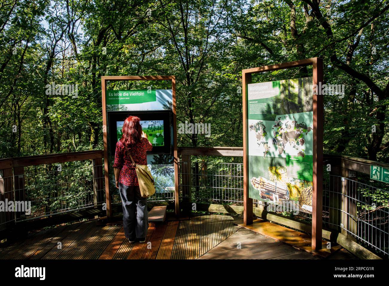 Besucher auf dem Baumwipfelpfad im Naturerlebnispark Panarbora in Waldbroel, Bergisches Land, Nordrhein-Westfalen, Deutschland. Besucher auf dem B Stockfoto