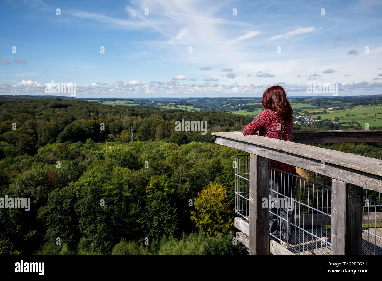 Besucher auf dem 40 Meter hohen Aussichtsturm, Teil der Baumwipfelwanderung im Naturerlebnispark Panarbora in Waldbroel, Bergisches Land, Nord Stockfoto