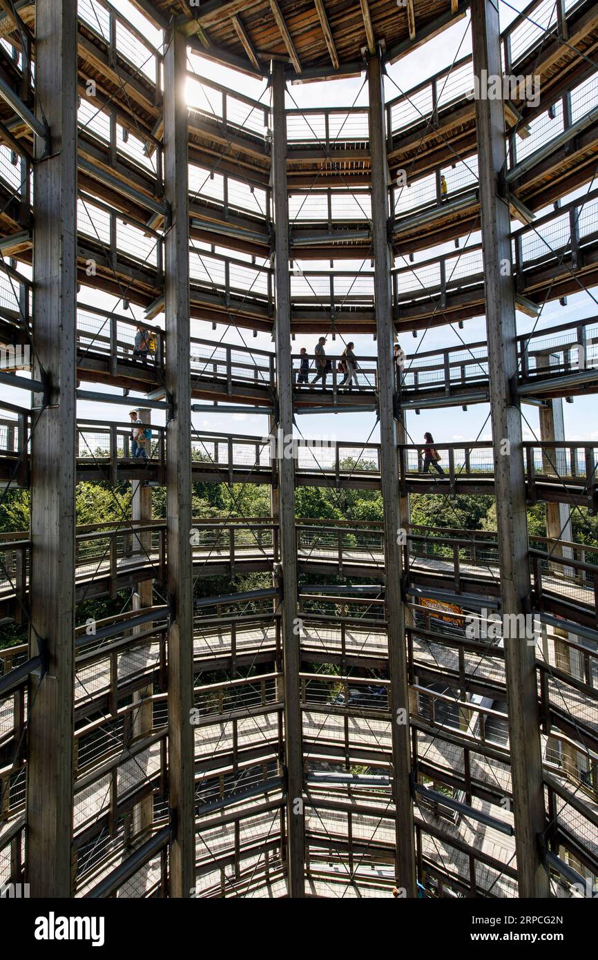 Besucher, die im Inneren des 40 Meter hohen Aussichtsturms spazieren gehen, sind Teil des Baumwipfelpfades im Naturerlebnispark Panarbora in Waldbroel, Bergisches Stockfoto