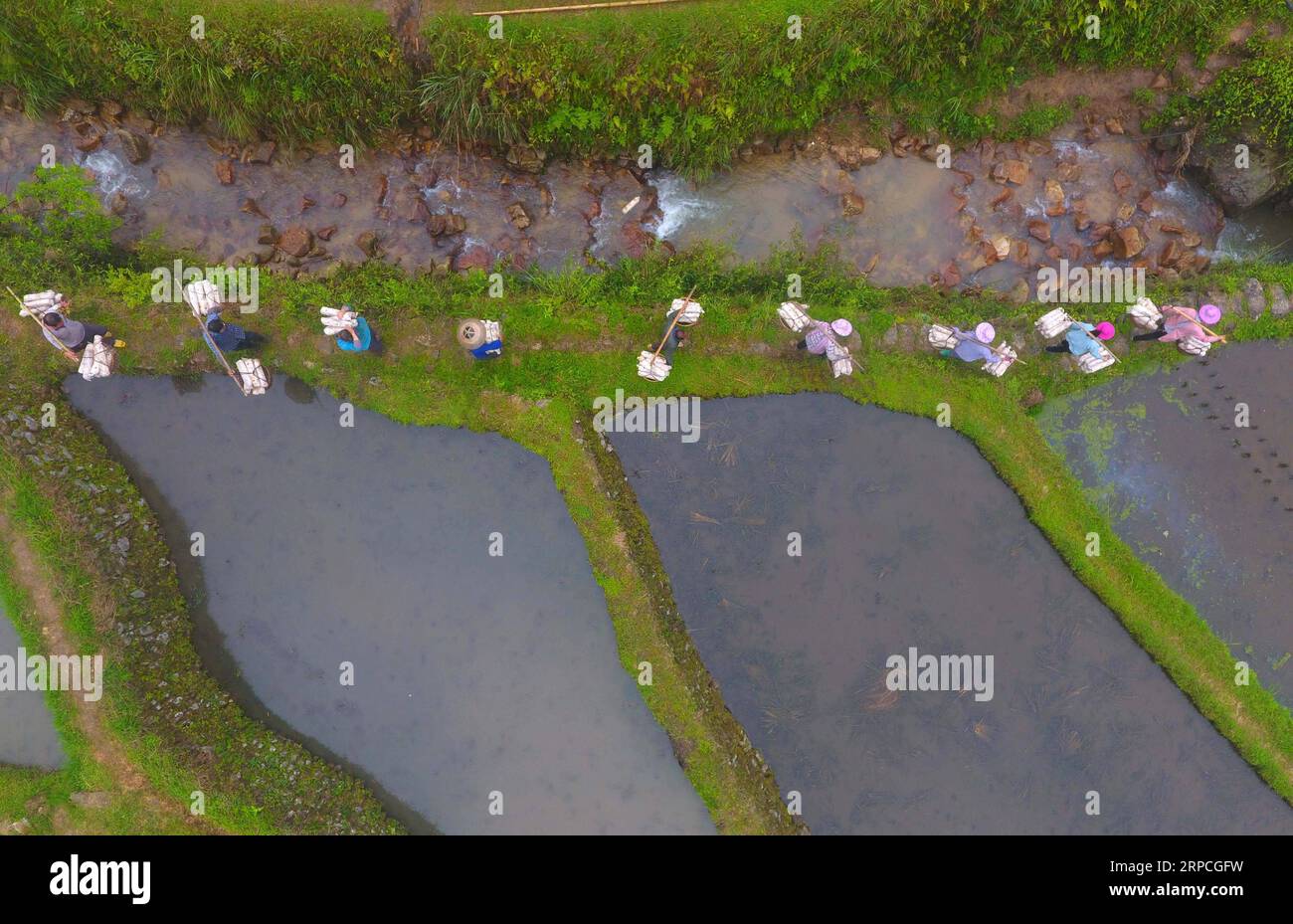 (190704) -- RONGSHUI, 4. Juli 2019 -- auf diesem Luftbild, das am 27. April 2019 aufgenommen wurde, begleiten Armutsbekämpfungsbeamte Dorfbewohner auf ihrem Weg zu einer essbaren Pilzpflanze im Gaoxian Village im autonomen Kreis Rongshui Miao, Liuzhou, der südchinesischen autonomen Region Guangxi Zhuang. Die schlechte Verkehrsinfrastruktur in einem überwiegend bergigen Gelände hat das Rongshui County von schrecklicher Armut heimgesucht. Seit Jahren ist die Lösung der Armutsprobleme von Rongshui eine Priorität für die für die Armutsbekämpfung zuständigen Beamten. Im Rahmen einer kürzlich erfolgten Kampagne wurde die kommunale Parteiorganisation von Liuzhou und ihre Organisation Ro Stockfoto