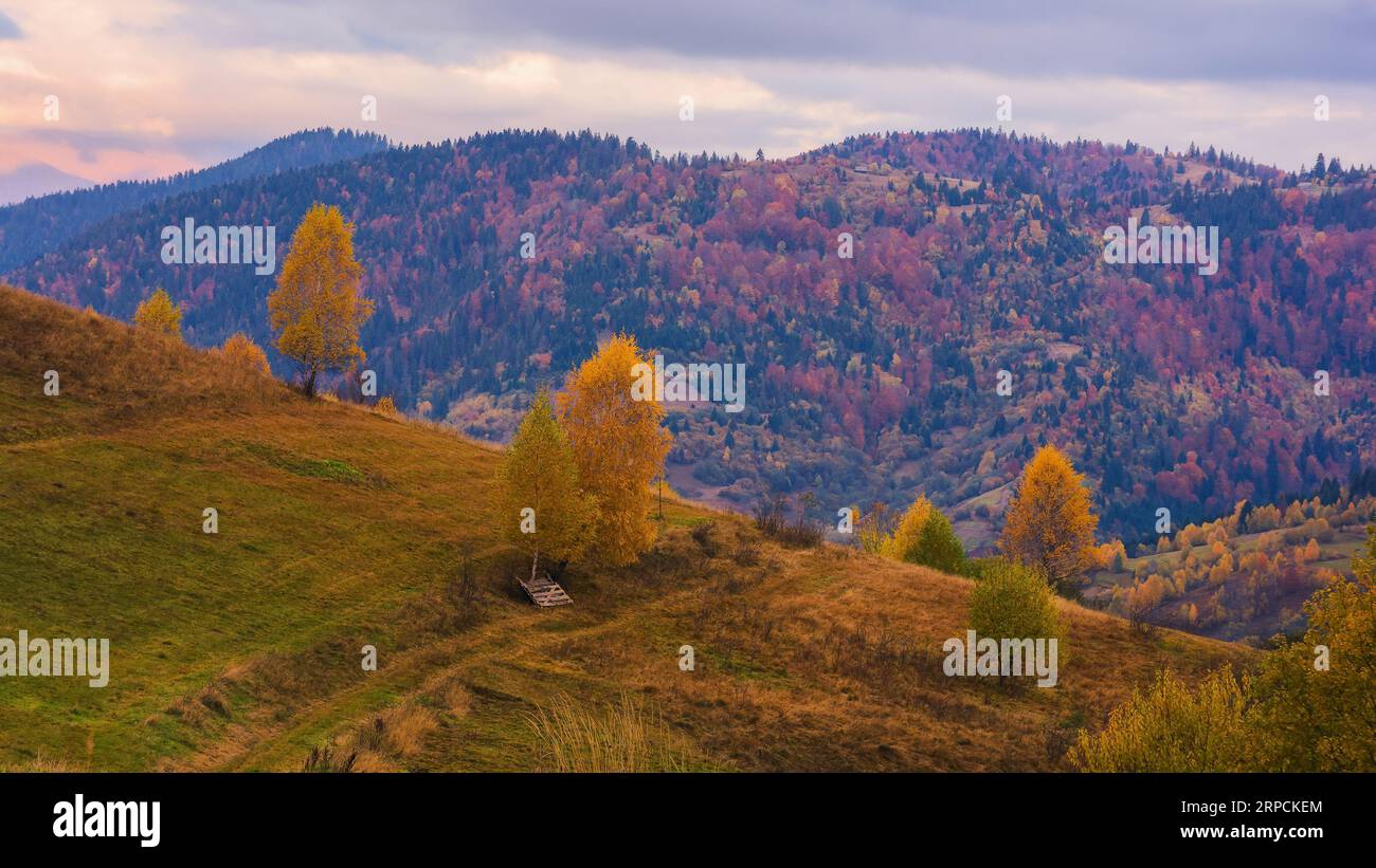 Schöne bergige Landschaft im Herbst. Sanfter Hügel, bewaldete Hänge und offene Aussichten. Konzept des ländlichen Tourismus Stockfoto