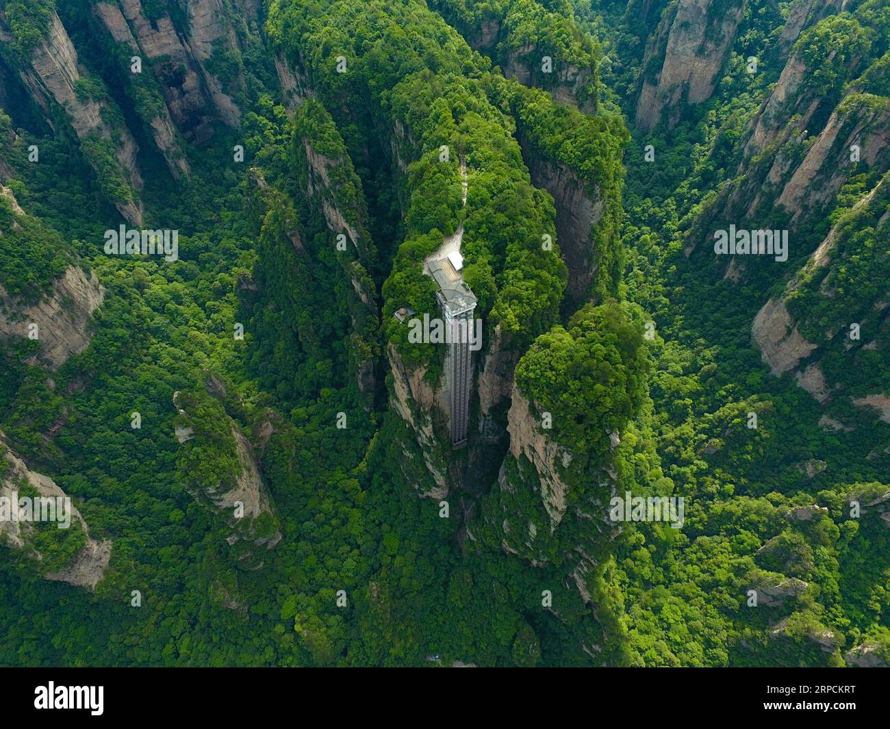 (190708) -- PEKING, 8. Juli 2019 -- Foto aufgenommen am 1. Juni 2019 zeigt den 326 Meter hohen Bailong Elevator, den weltweit höchsten Außenaufzug, im Wulingyuan Scenic Area in Zhangjiajie, der zentralchinesischen Provinz Hunan. Die Provinz Hunan liegt in Zentralchina und ist für ihre abwechslungsreiche Topographie bekannt. Er grenzt im Norden an den Dongting Lake, und die Ost-, Süd- und Westseite der Provinz sind von Bergen umgeben, mit den Wuling- und Xuefeng-Bergen im Westen, dem Nanling-Berg im Süden, den Luoxiao- und den Mufu-Bergen im Osten. Die Flüsse Xiangjiang, Zijiang, Yuanjiang und Lishui Co Stockfoto