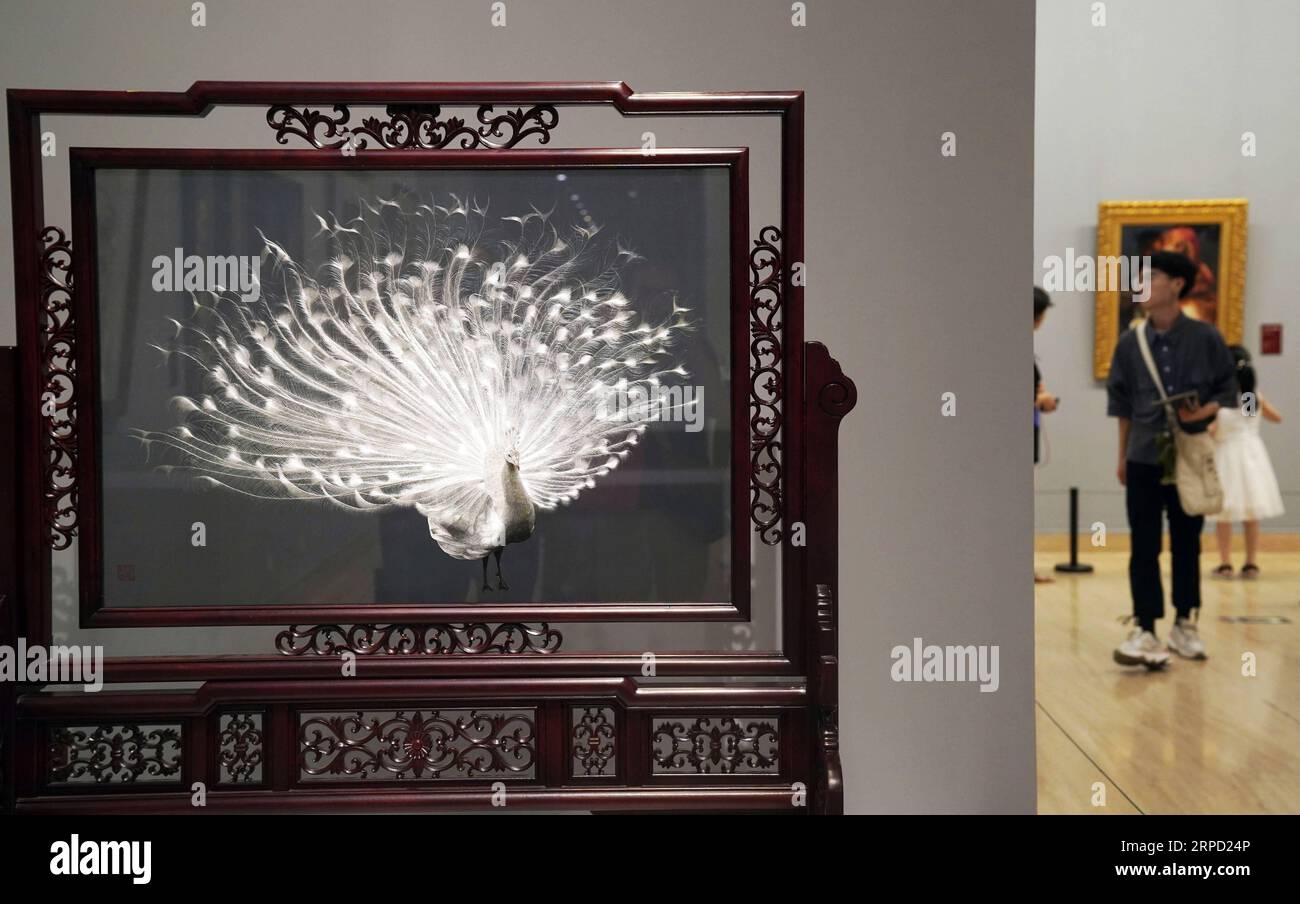 (190719) -- PEKING, 19. Juli 2019 -- Menschen besuchen Splendid China -- Ausstellung für kunstvolle Suzhou-Stickereien im National Art Museum of China (NAMOC) in Peking, Hauptstadt von China, 19. Juli 2019. Die Ausstellung, die am Freitag hier eröffnet wird, zeigt eine reiche Sammlung von Werken der chinesischen Suzhou-Stickmeister in der zeitgenössischen Ära. ) CHINA-BEIJING-ART-SUZHOU STICKAUSSTELLUNG (CN) JINXLIANGKUAI PUBLICATIONXNOTXINXCHN Stockfoto