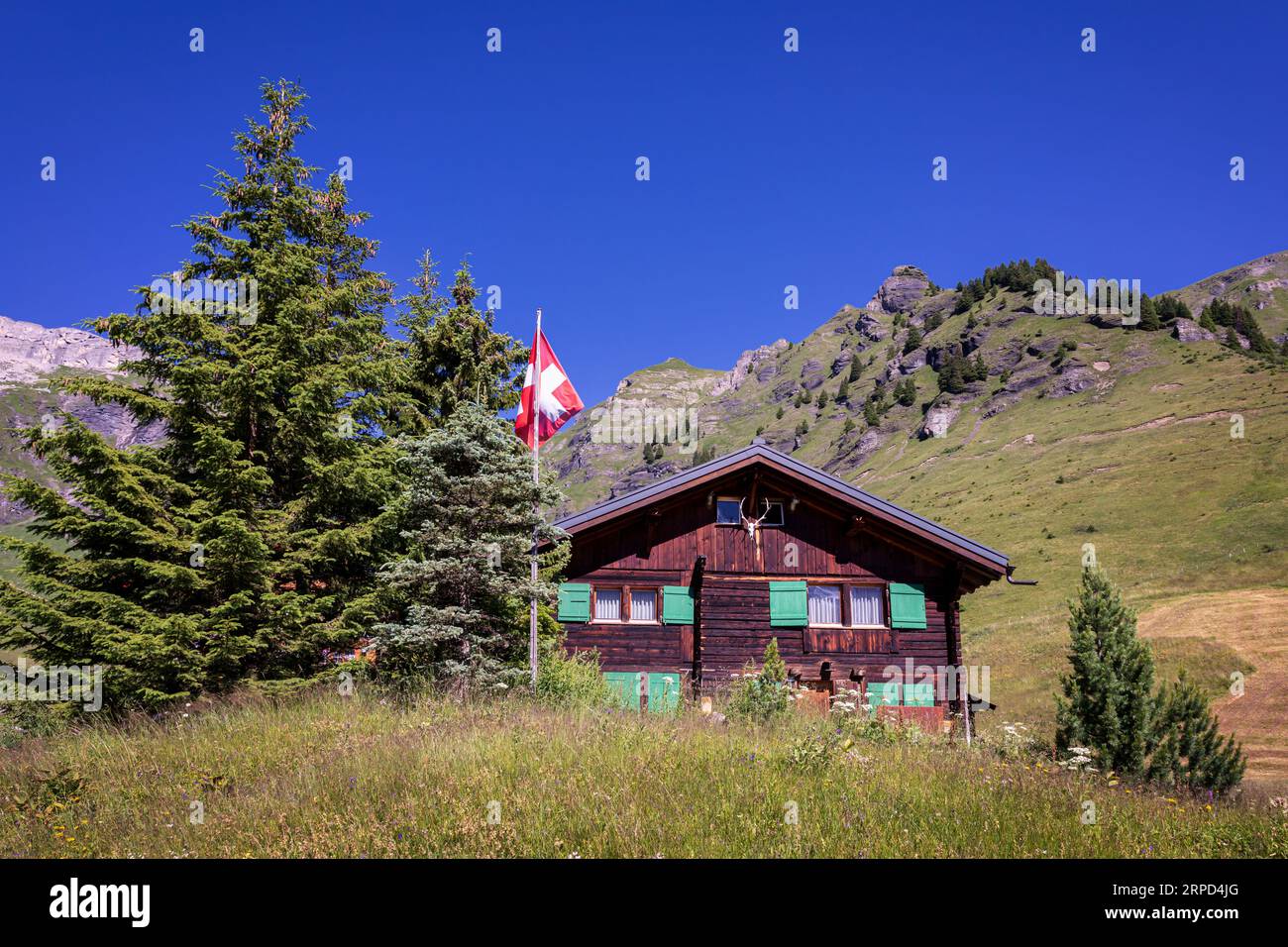 Almchalet bei Wengen mit Schweizer Flagge am Fahnenmast, Berner Oberland, Schweiz Stockfoto