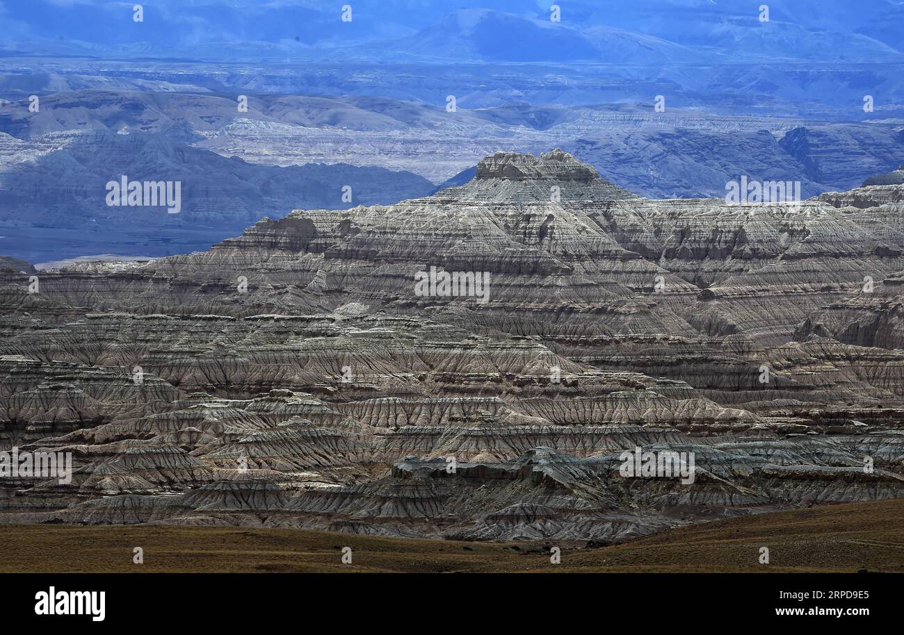 (190727) -- ALI, 27. Juli 2019 -- Foto aufgenommen am 23. Juli 2019 zeigt die einzigartige Landschaft des Erdwaldes im Zanda County der Präfektur Ngari, der autonomen Region Tibet im Südwesten Chinas. ) CHINA-TIBET-ALI-ZANDA-LANDSCHAFT (CN) CHOGO PUBLICATIONXNOTXINXCHN Stockfoto