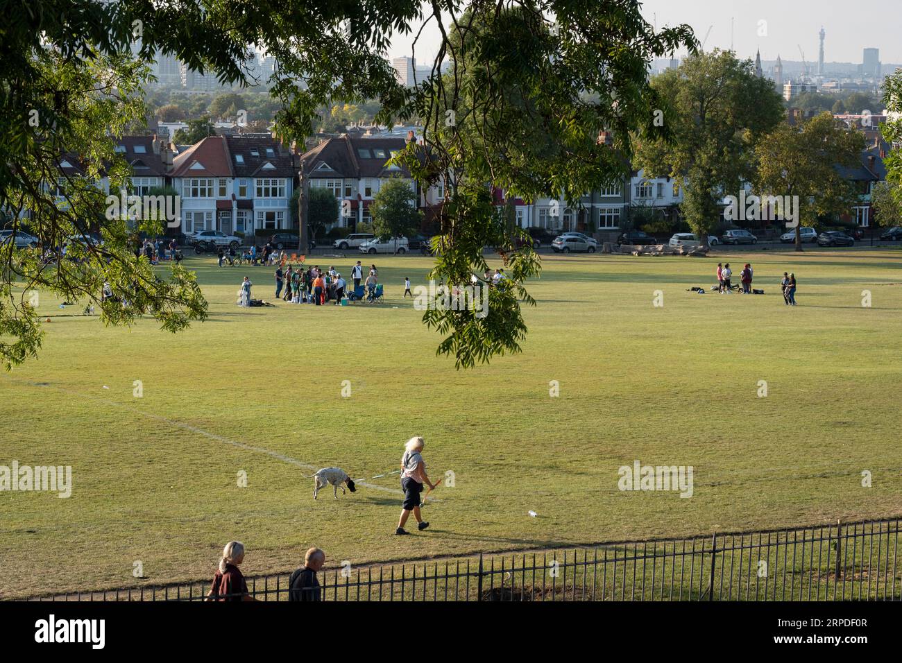 Ein Hundewanderer und eine Gemeinschaft anderer Parknutzer treffen sich mit Vorstadtwohnungen und Hochhäusern aus der Ferne, die vom Ruskin Park, einem öffentlichen Grünplatz in Lambeth, am 2. September 2023 in London, England, aus gesehen werden. Stockfoto