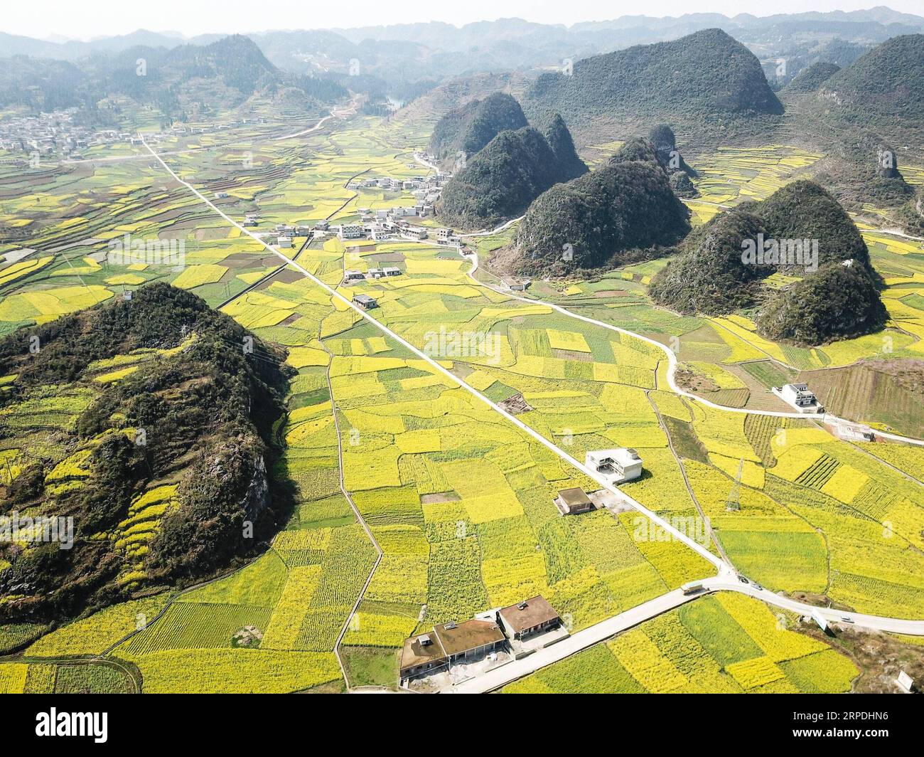 (190805) -- PEKING, 5. August 2019 -- Luftaufnahme vom 9. März 2018 zeigt cole Flower Fields in der Mugang Township von Liuzhi Special Region der Stadt Liupanshui, Provinz Guizhou im Südwesten Chinas. Guizhou, eine Binnenprovinz im Südwesten Chinas, rühmt sich mit großen Bergregionen und Hügeln, auf die 92,5 Prozent der gesamten Provinz entfallen. Als Pilotzone der nationalen ökologischen Zivilisation hat sich Guizhou in den letzten Jahren verpflichtet, sich zu einem touristischen Ziel des Bergtourismus zu entwickeln, das weltweit bekannt ist. Grüne Entwicklung ist zu einer Namenskarte für Guizhou geworden, Stockfoto