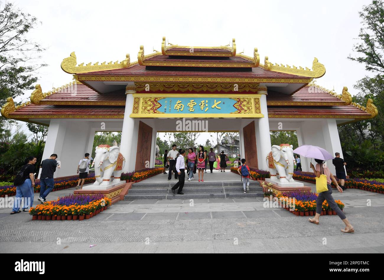 (190812) -- PEKING, 12. August 2019 -- Touristen besuchen den Yunnan-Garten auf der Beijing International Horticultural Exhibition in Peking, Hauptstadt von China, 11. August 2019. Die Provinz Yunnan im Südwesten Chinas ist aufgrund ihrer vorteilhaften natürlichen Bedingungen mit üppigen Hochplateaus und unterschiedlichen Klimata sehr reich an Biodiversität. Die Waldbedeckung in Yunnan hat 60,3 Prozent erreicht, und die Provinz ist als Animal Kingdom und Plant Kingdom bekannt. Yunnan legte das Ziel fest, es in die schönste Provinz Chinas zu bauen. Sie hat große Anstrengungen unternommen, um ökologische ci zu fördern Stockfoto