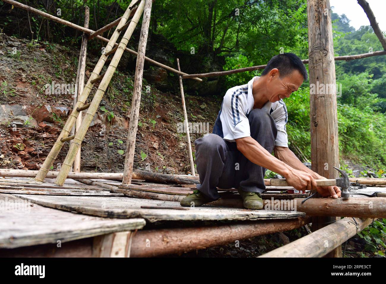 (190816) -- RONGSHUI, 16. August 2019 -- Long Gexiong baut eine Fasanterie im Dorf Tongbantun der Gemeinde Dongqi im Bezirk Rongan, südchinesische autonome Region Guangxi Zhuang, 16. August 2019. Long Gexiong, ein 51-jähriger Bauer des Dorfes Tongbantun, der 20 Jahre lang Wanderarbeiter war, kehrte 2012 in seine Heimatstadt zurück, um mit seinen Cousins eine Bauerngenossenschaft für Obstverkauf und Landtourismus zu gründen. Lange und andere Landwirte haben Pflaumenbäume und Trauben auf einer Gesamtfläche von mehr als 500 Mu (etwa 33,33 Hektar) gepflanzt und die Anstrengungen zur Entwicklung einer auf die örtlichen Gegebenheiten zugeschnittenen Tourismusbranche intensiviert Stockfoto