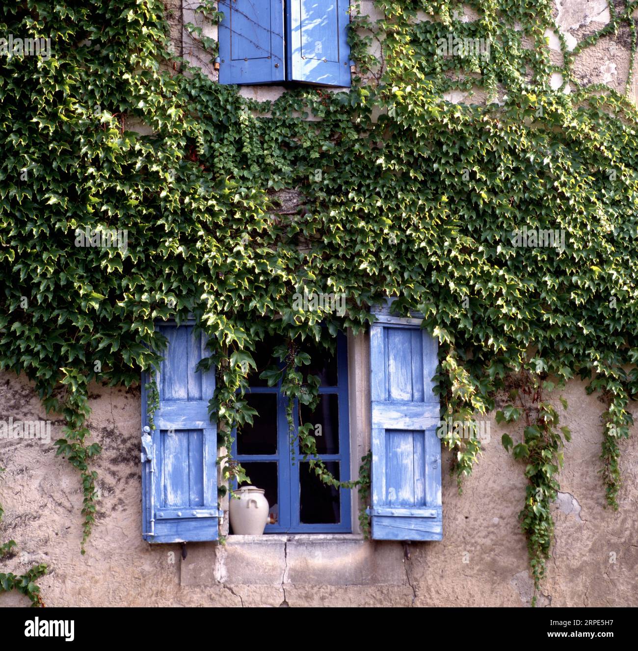 Haus mit blauen Fensterläden und Efeu an der Wand in Maubec, einem kleinen Dorf im Luberon, Frankreich Stockfoto
