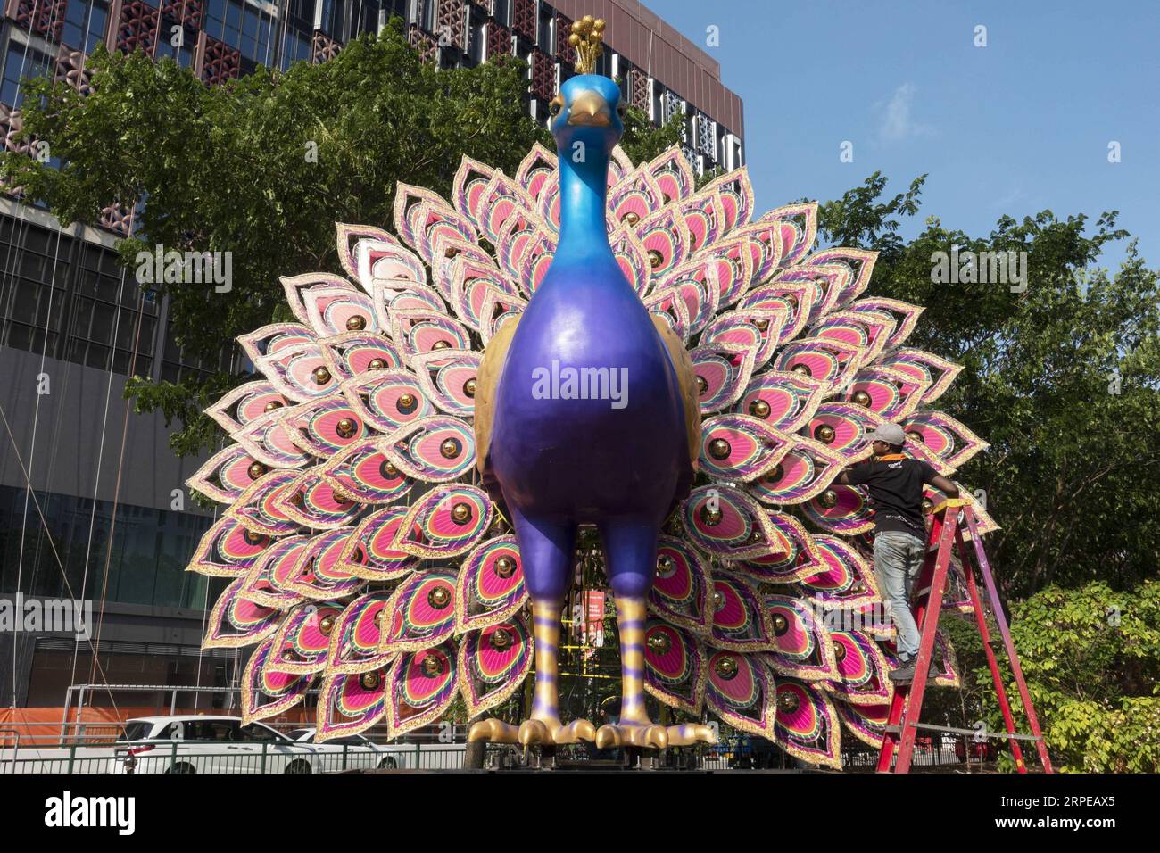 (190823) -- SINGAPUR, 23. August 2019 (Xinhua) -- Ein Arbeiter bereitet die Pfauendekoration des Deepavali Festivals in Little India in der Serangoon Road Singapurs am 23. August 2019 vor. (Xinhua/dann Chih Wey) SINGAPUR-DEEPAVALI FESTIVAL-DAILY LIFE PUBLICATIONxNOTxINxCHN Stockfoto