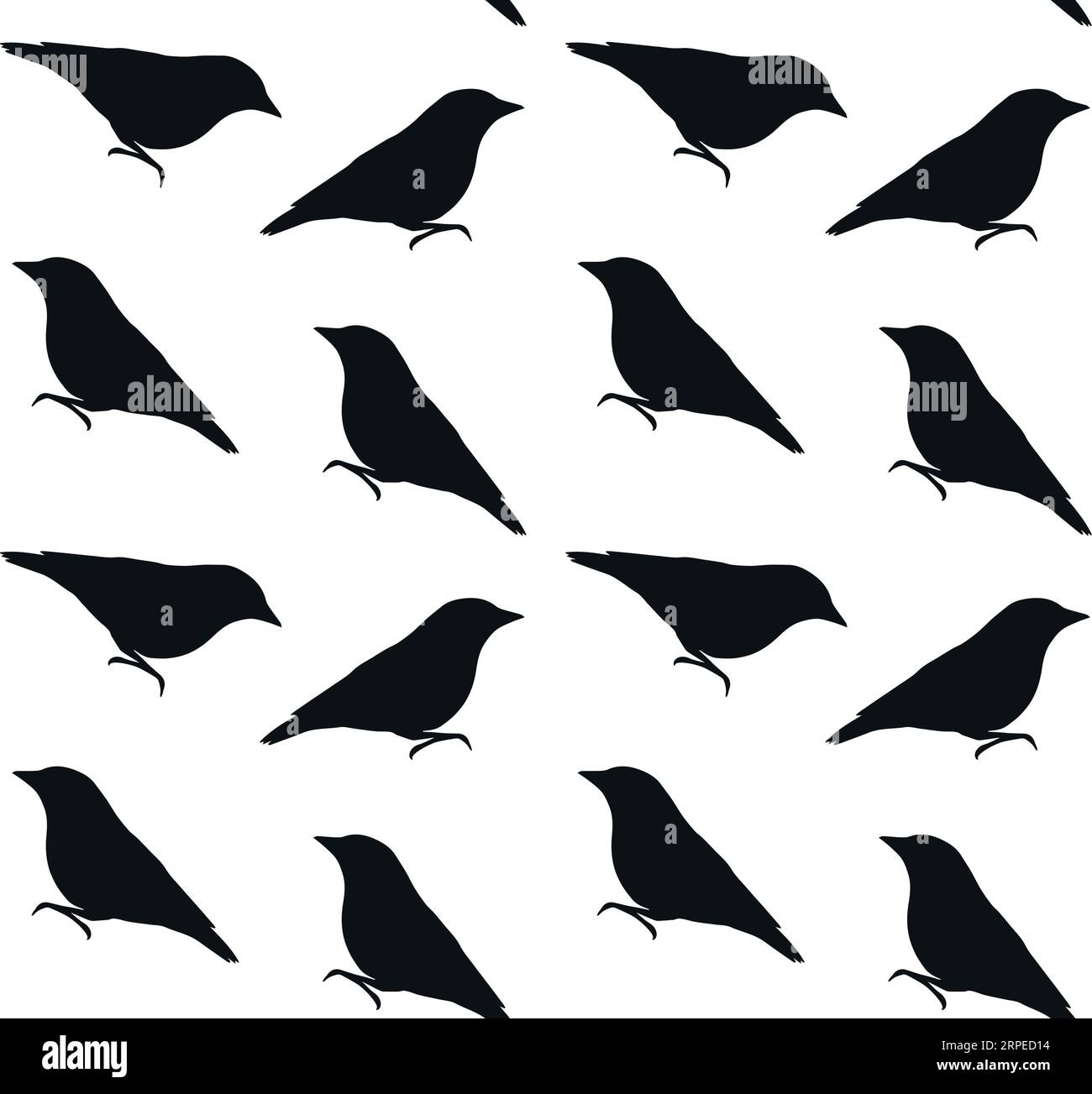 Vektor nahtloses Muster der Hand gezeichneten Nacktschnecke Vogel Silhouette isoliert auf weißem Hintergrund Stock Vektor
