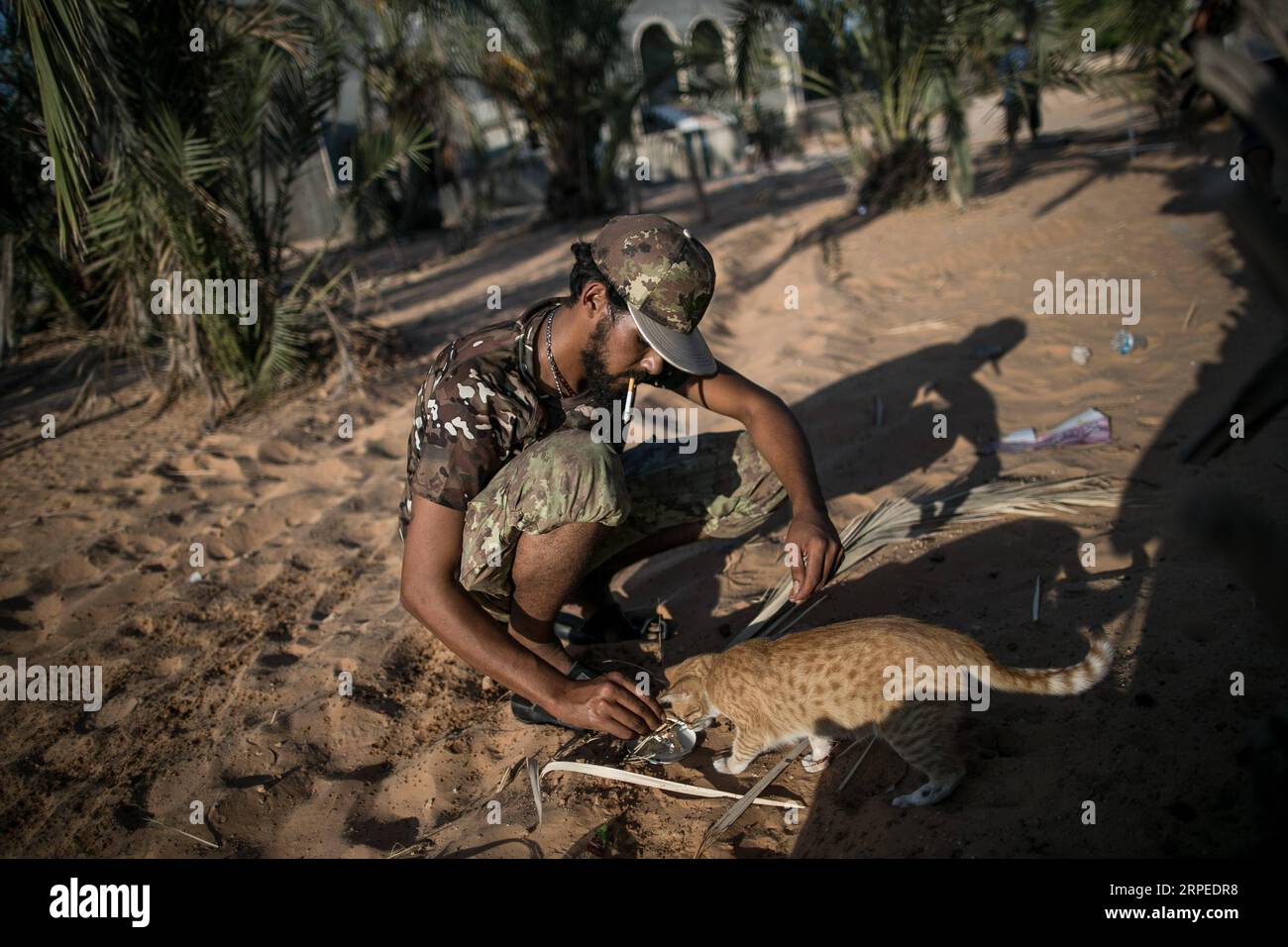(190825) -- TRIPOLI, 25. August 2019 (Xinhua) -- Ein Kämpfer der von den Vereinten Nationen unterstützten Regierung Libyens (GNA) ernährt am 25. August 2019 eine streunende Katze an der Al-Yarmook-Frontlinie in Tripoli, Libyen. Libyens Armee im Osten sagte am Sonntag, dass 12 Soldaten der rivalisierenden, von den Vereinten Nationen unterstützten Regierung getötet und mehr als 20 weitere bei gewaltsamen Zusammenstößen in der Nähe der Stadt Gharyan, etwa 80 km südlich der Hauptstadt Tripoli, verletzt wurden. Die von den Vereinten Nationen unterstützte Regierung führt seit Anfang April in und um Tripoli einen tödlichen bewaffneten Konflikt gegen die Armee aus dem Osten, die versucht, die Stadt zu übernehmen und über die Stadt zu herrschen Stockfoto