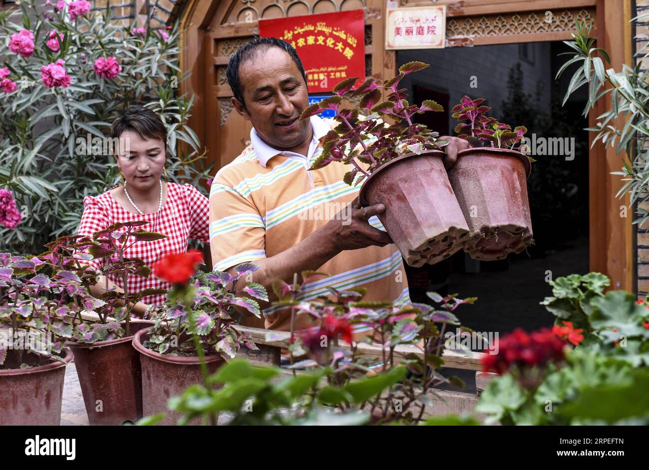 (190828) -- KASHGAR, 28. August 2019 -- Ein Blumenhändler (R) lädt in Begleitung von Mihrigvl Rixat, Tochter von Salima Sultan, vor ihrem Haus im Dorf Qianjin in Kashgar, der Autonomen Region Xinjiang Uygur im Nordwesten Chinas, 18. August 2019. Wohnungen umgeben von duftenden Blüten in Überfluss, gut angelegte Häuser und Gassen von gepflegtem Aussehen, verschiedene Bäume entlang der Straßen, in denen Kinder sich Vergnügen, die Pastoralszene kann überall im Dorf Qianjin gesehen werden. Die idyllische Schönheit des Dorfes Qianjin stammt von der blühenden Blumenwirtschaft, in der Salim lebt Stockfoto