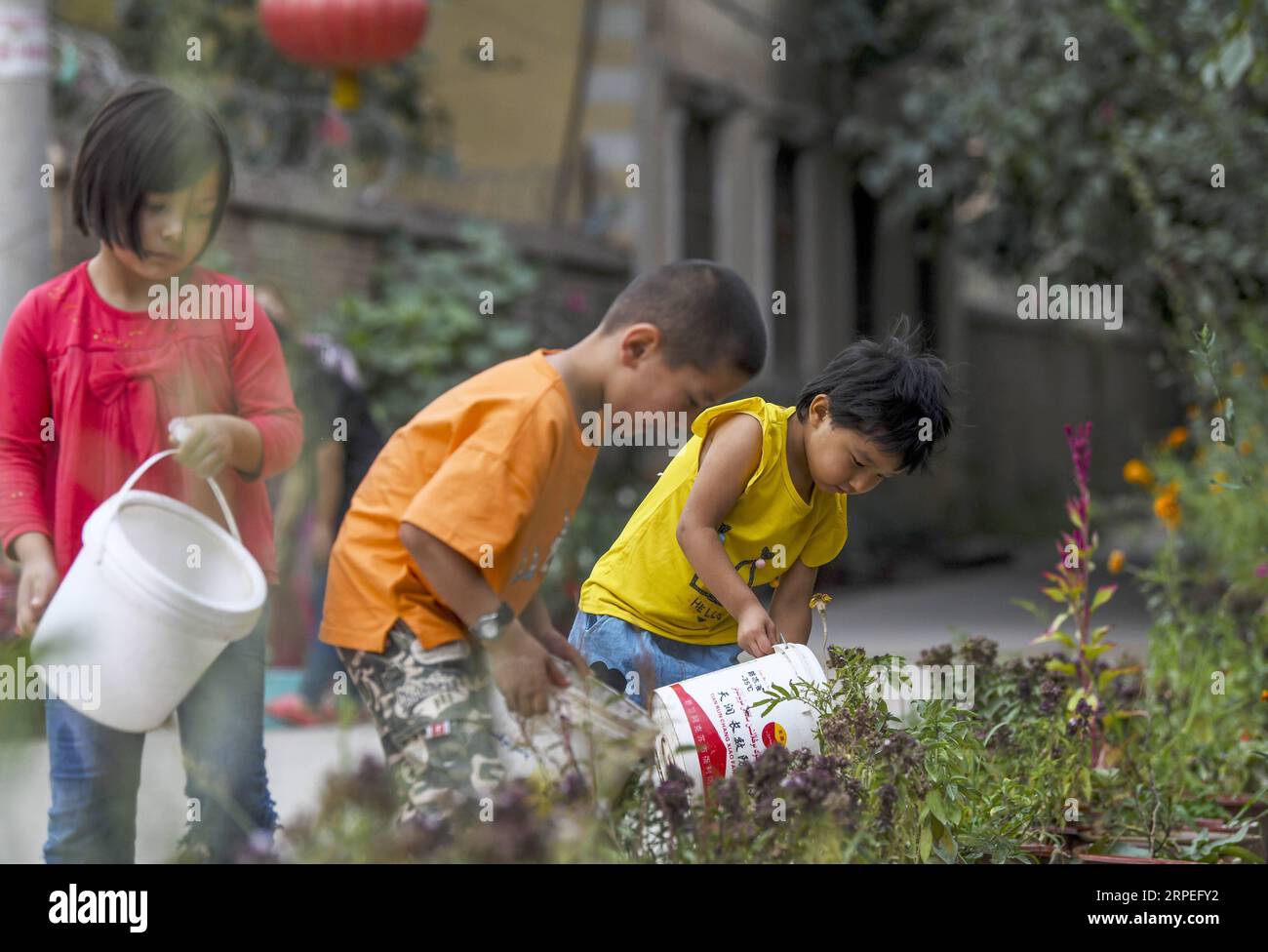 (190828) -- KASHGAR, 28. August 2019 -- Kinder Wasser Blumen in einer Gasse im Dorf Qianjin in Kashgar, Nordwestchina Xinjiang Uygur Autonomous Region, 18. August 2019. Wohnungen umgeben von duftenden Blüten in Überfluss, gut angelegte Häuser und Gassen von gepflegtem Aussehen, verschiedene Bäume entlang der Straßen, in denen Kinder sich Vergnügen, die Pastoralszene kann überall im Dorf Qianjin gesehen werden. Die idyllische Schönheit des Dorfes Qianjin ist auf die blühende Blumenwirtschaft zurückzuführen, in der Salima Sultan ein Pionier ist. Salima, eine 60-jährige Dorfbewohnerin, entwickelte seither die Vorliebe für Blumen Stockfoto