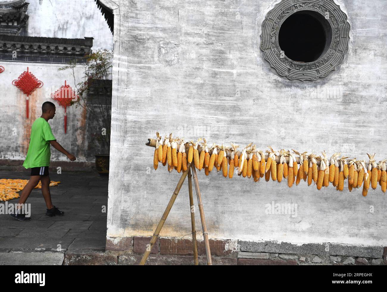 (190829) -- HUANGSHAN, 29. August 2019 -- Foto aufgenommen am 28. August 2019 zeigt ausgestrahlte Corns im Dorf Chengkan in der Stadt Huangshan in der ostchinesischen Provinz Anhui. ) CHINA-ANHUI-HUANGSHAN-ALUKERNE (CN) LIUXJUNXI PUBLICATIONXNOTXINXCHN Stockfoto