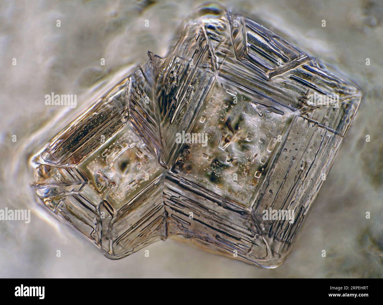 Das Bild zeigt zwei Kristalle aus rekristallisiertem Salz, die durch das Mikroskop in polarisiertem Licht mit einer Vergrößerung von 100X aufgenommen wurden Stockfoto