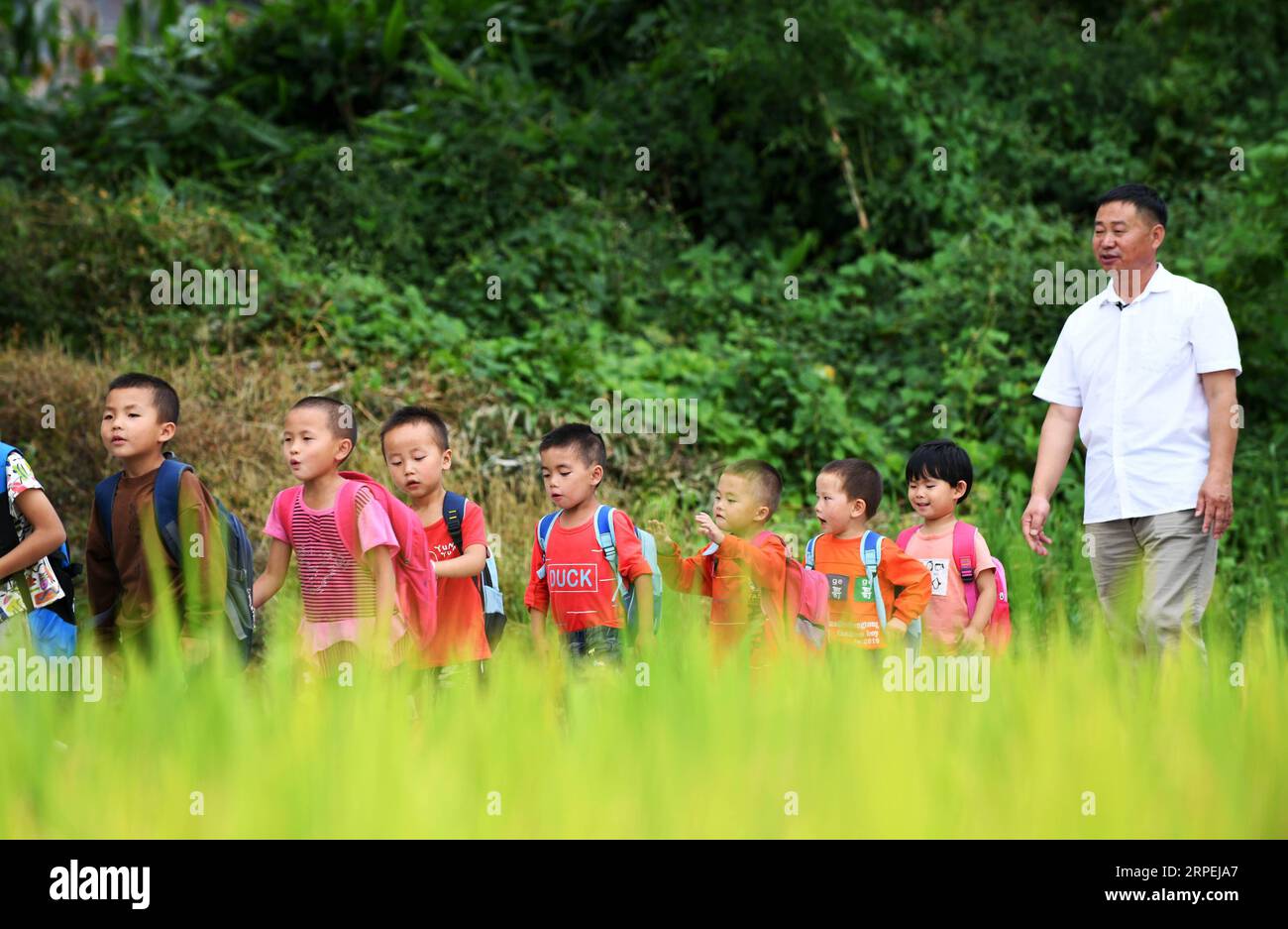 (190830) -- PEKING, 30. August 2019 -- Studenten werden von Wu Guoxian begleitet, um nach Hause zu gehen im Dorf Liuguang im Kreis Longli in der autonomen Präfektur Bouyei-Miao von Qiannan, Provinz Guizhou im Südwesten Chinas, 26. August 2019. Die Gugang Primary School im Dorf Liuguang liegt tief in den Bergen und begrüßte sechs Vorschulkinder und vier Erstklässler, als das neue Semester am Montag begann. Sie werden von Wu Guoxian unterrichtet, dem einzigen Schullehrer hier. Wu, 53, arbeitet seit 36 Jahren an der Schule, seit er 1983 an einer Junior High School abschloss. Die Schule hatte einen heruntergekommenen Lehrerbau Stockfoto