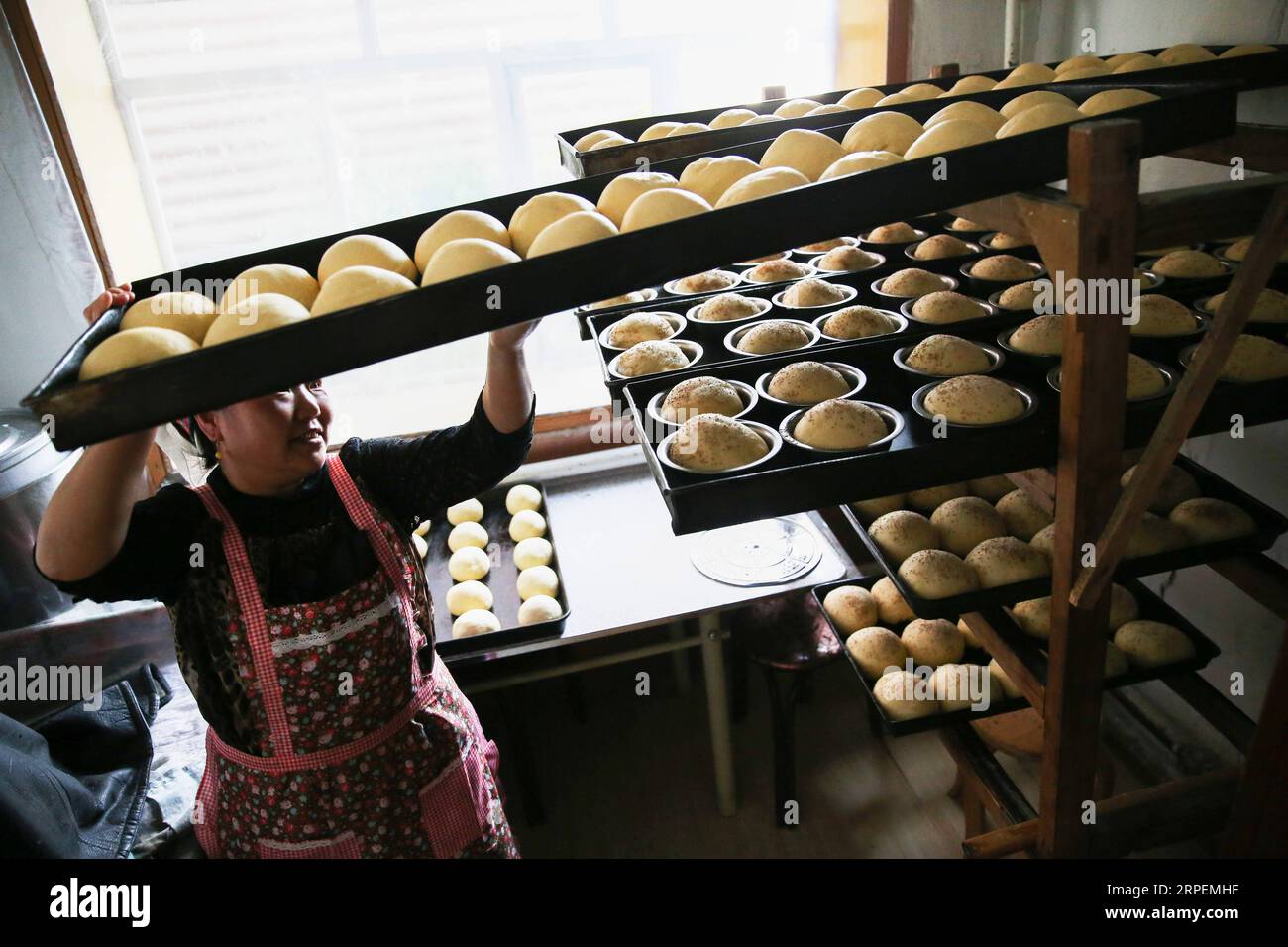 (190901) -- HOHHOT, 1. September 2019 -- Fu Yanmei holt fermentierte Brotteige in einem russischen Brotgeschäft in der Enhe-Gemeinde Ergun, Nordchinas Autonome Region Innere Mongolei, 29. August 2019. Fu Yanmei macht seit fast 20 Jahren russisches Brot in der Gemeinde Enhe, wo sich die russische Volksgruppe Chinas sammelt. Meine Schwiegermutter stammt aus einer russischen ethnischen Gruppe. Ich begann, russisches Brot zu machen, nachdem ich geheiratet habe, sagte Fu. Mit der Entwicklung der lokalen Tourismusbranche wächst das Geschäft von Fu. Besucher kommen, um russisches Brot zu machen, und Fu hofft, die Gelegenheit zu nutzen, um die Trad weiterzugeben Stockfoto