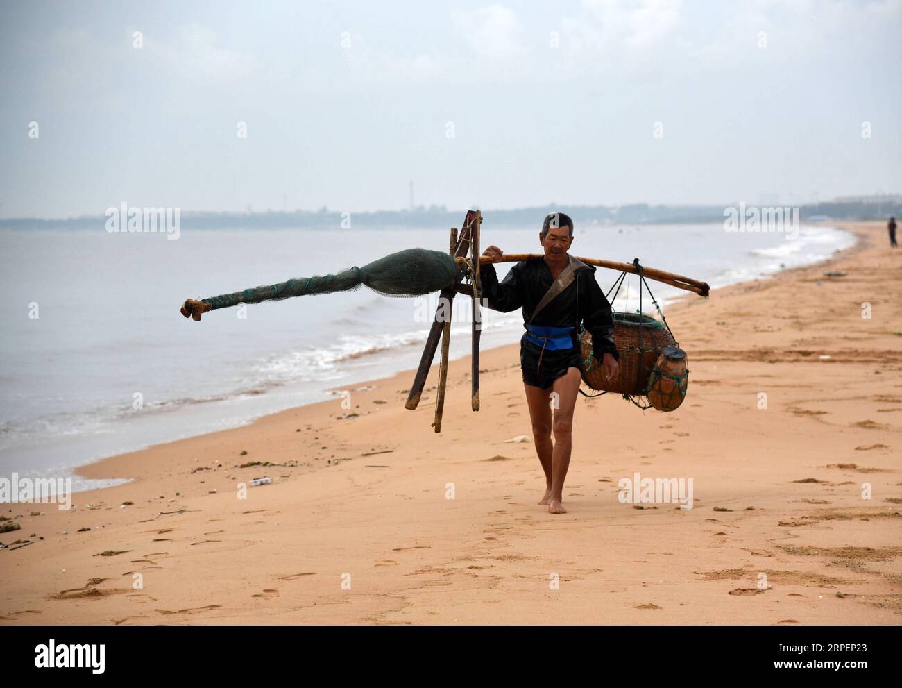 (190902) -- RIZHAO, 2. September 2019 -- Ein Fischer trägt geerntete Garnelen in Rizhao, Ostchinesische Provinz Shandong, 2. September 2019. Einheimische Fischer tragen Stelzen, um über dem Wasser zu bleiben, wenn sie Garnelen fangen. ) CHINA-SHANDONG-RIZHAO-GARNELENERNTE (CN) WANGXKAI PUBLICATIONXNOTXINXCHN Stockfoto