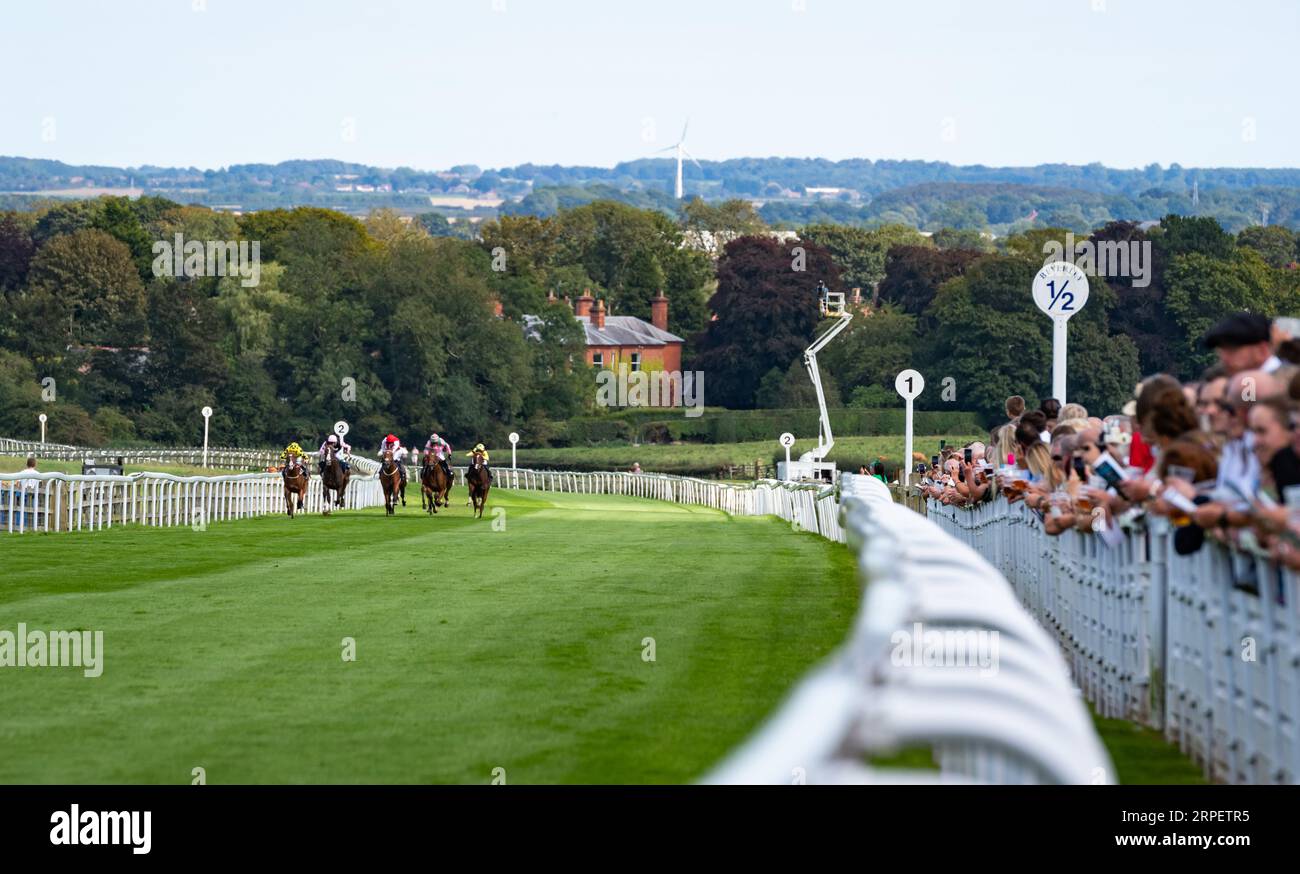 Rennen auf der Beverley Racecourse, Yorkshire, während des ersten Rennens am Beverley Bullet Raceday, Samstag, den 2. September 2023. Kredit-JTW-Equine-Bilder. Stockfoto